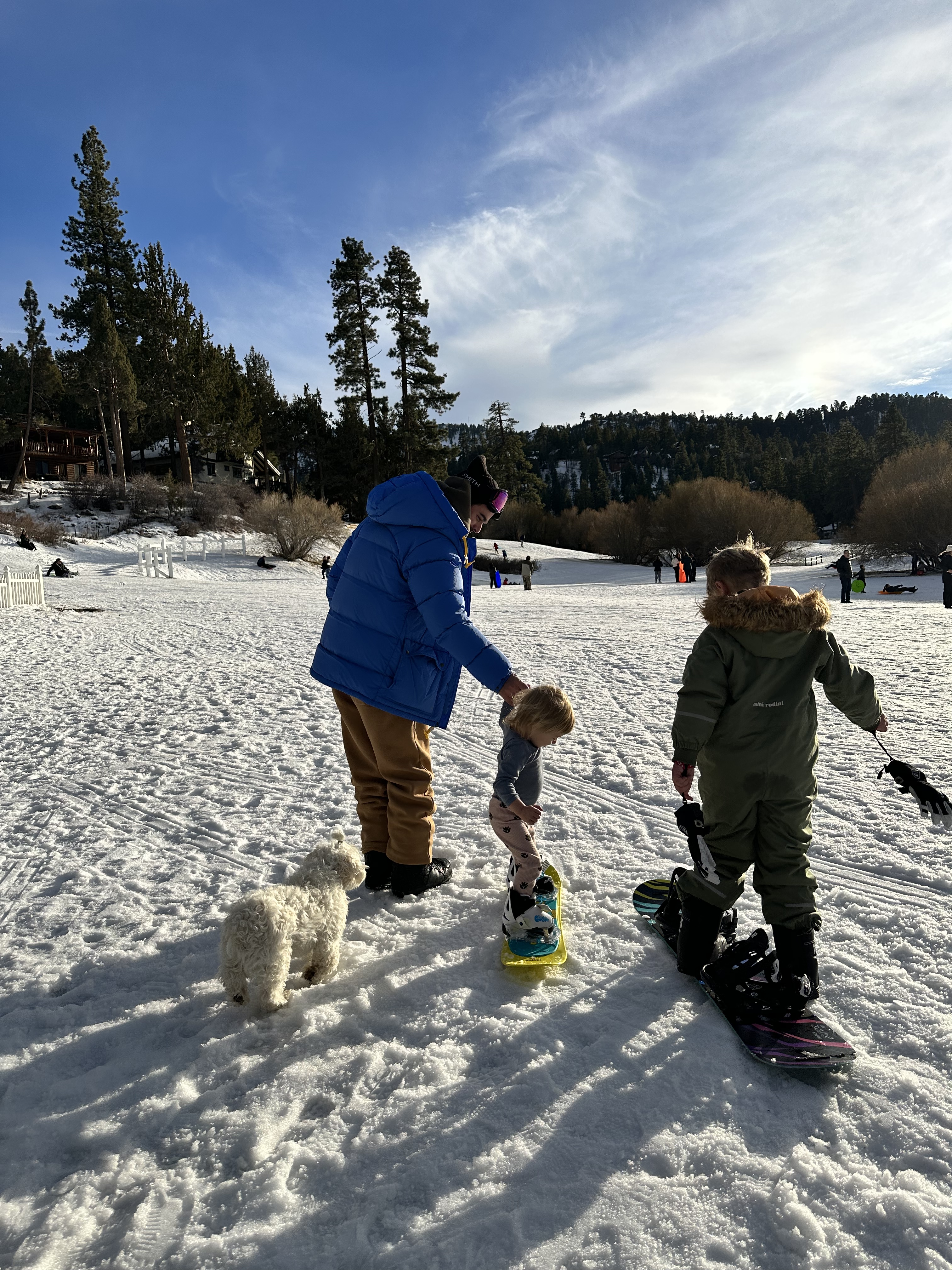 1D280FD5-35FF-4170-84DA-2B3FCF1D5D80