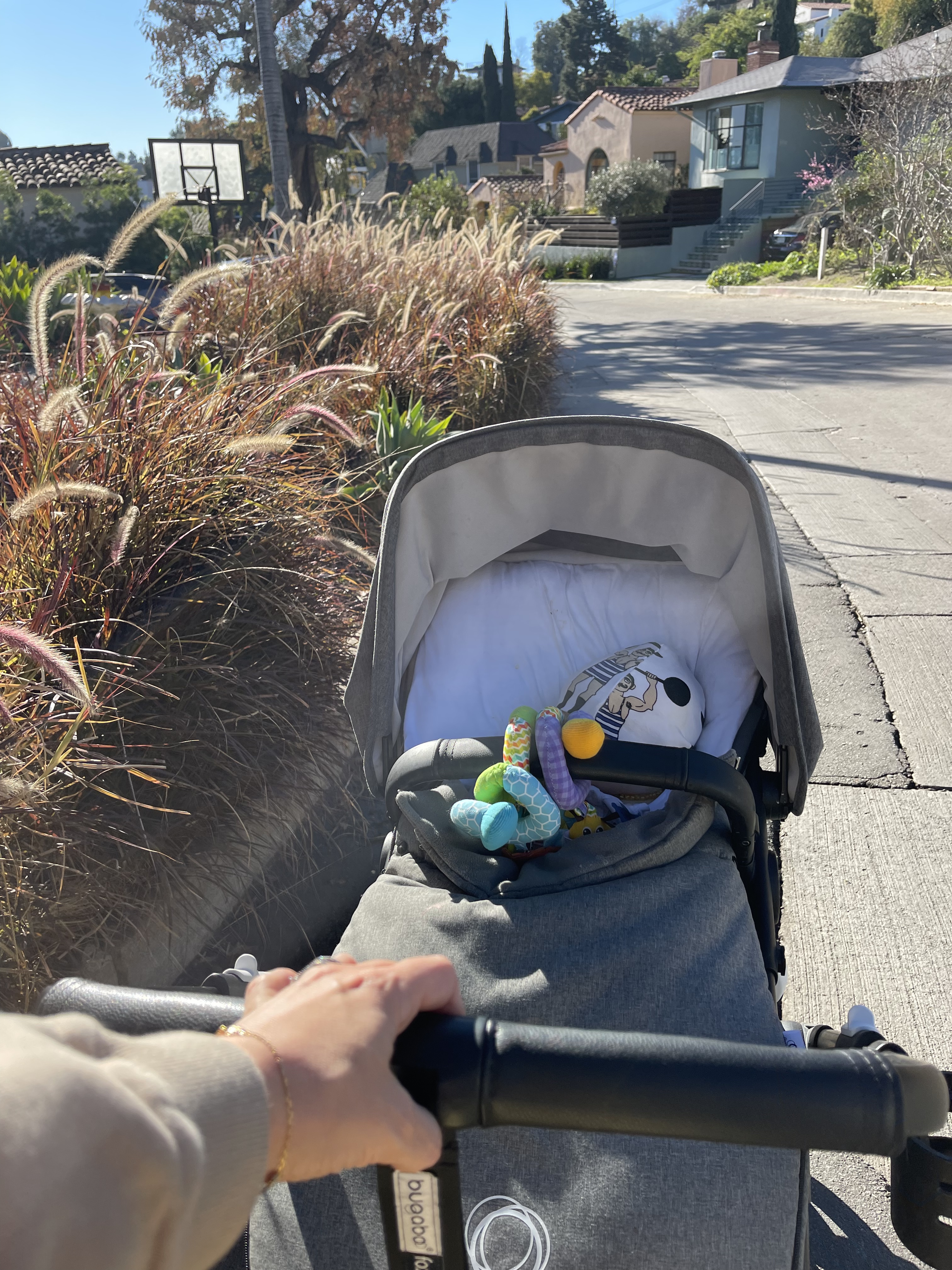 455215F1-684A-4556-87C1-8821C6757F75