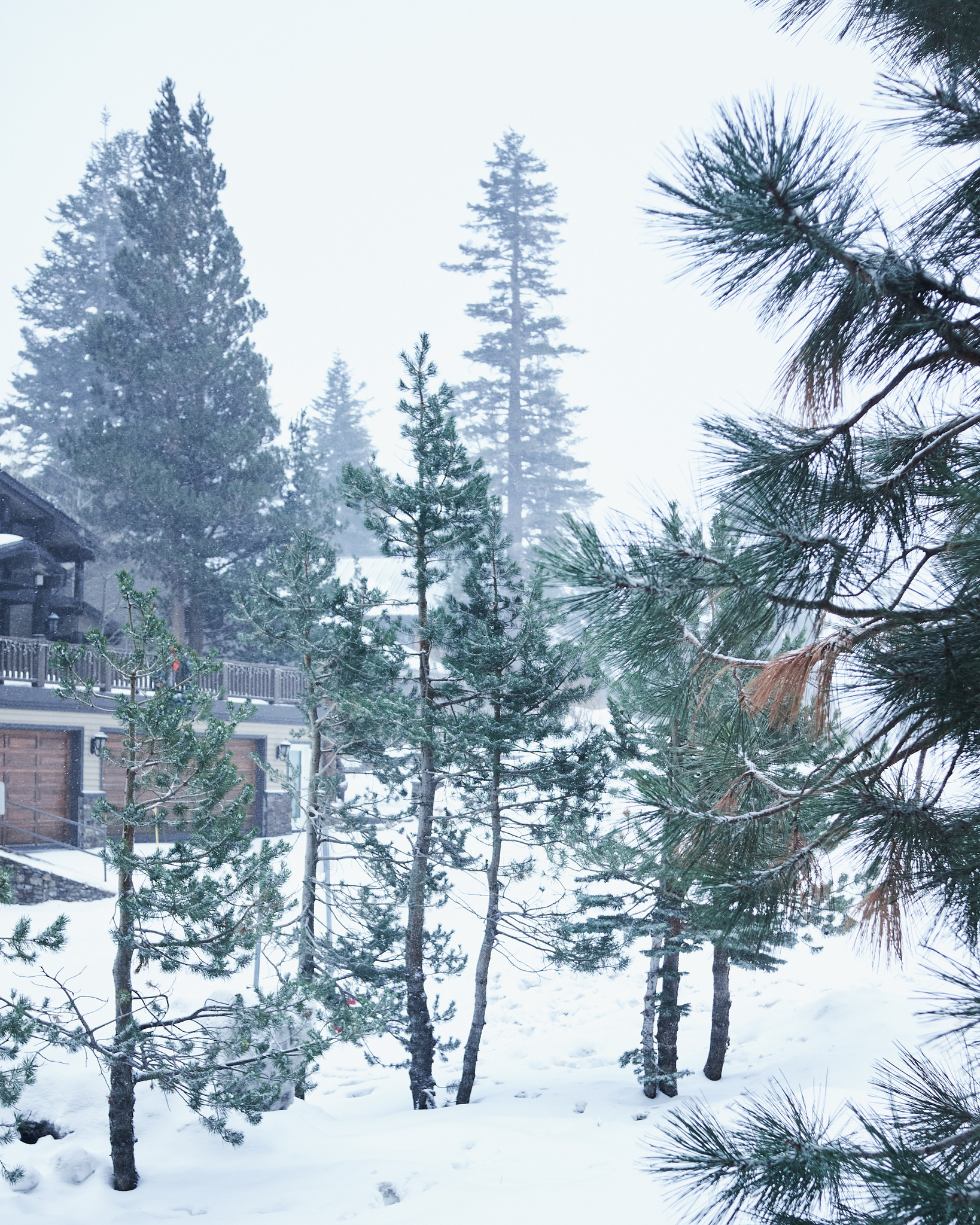 C26B3735-6E47-418D-A083-4D10A87ED3D5