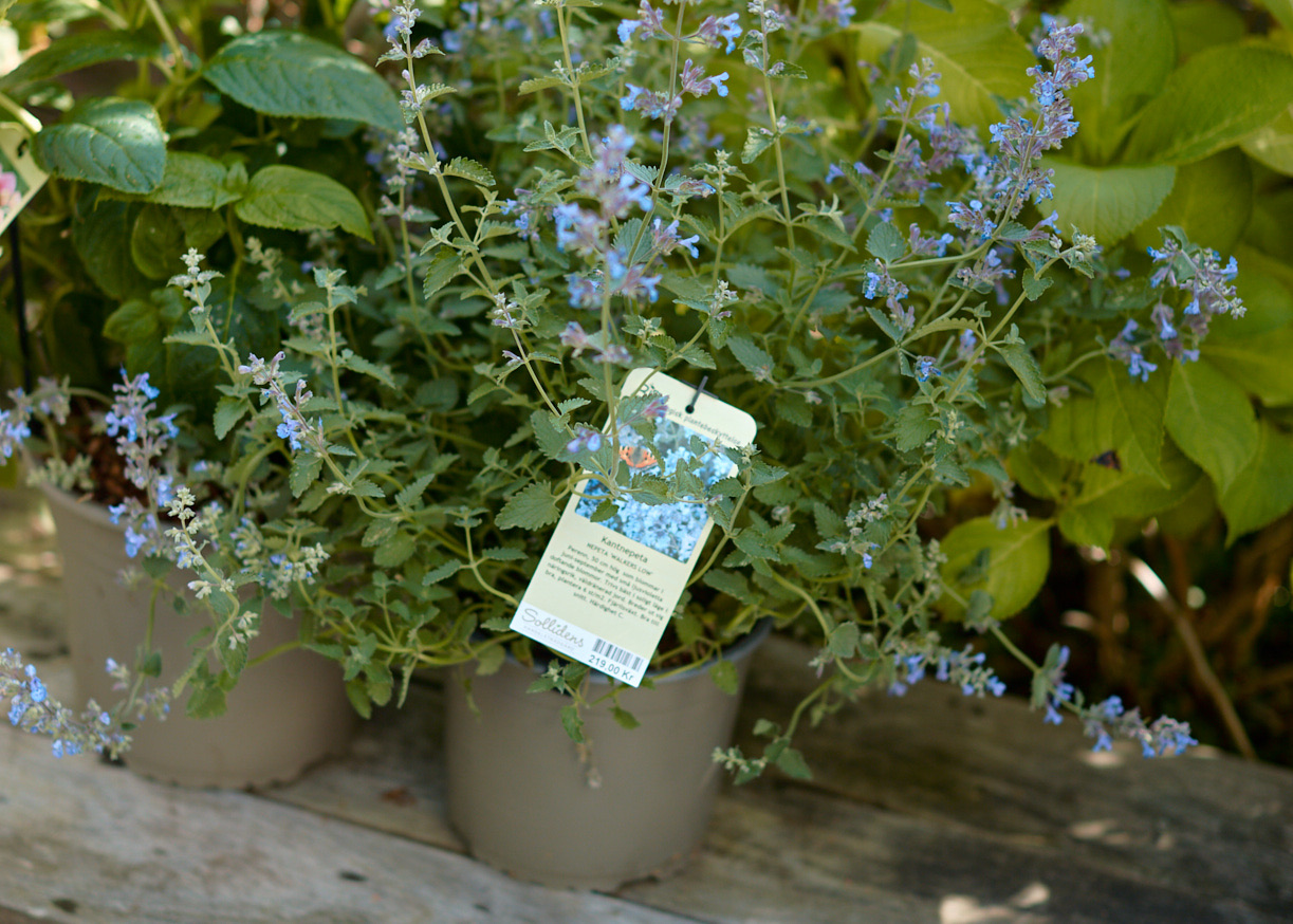 D1A8093F-4056-430B-9A39-1558D8BB3B82