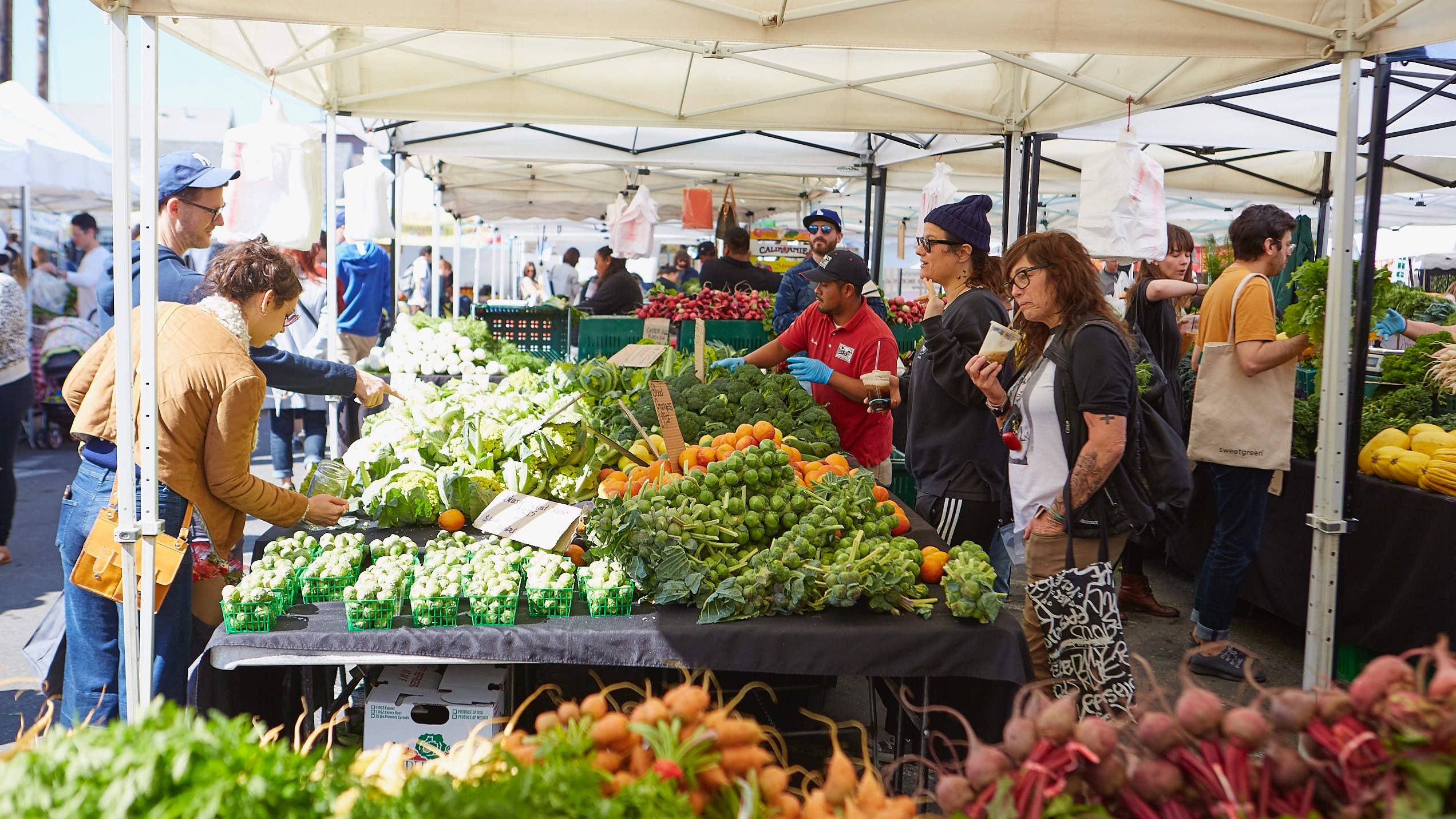 Untitled Job__S1_7450