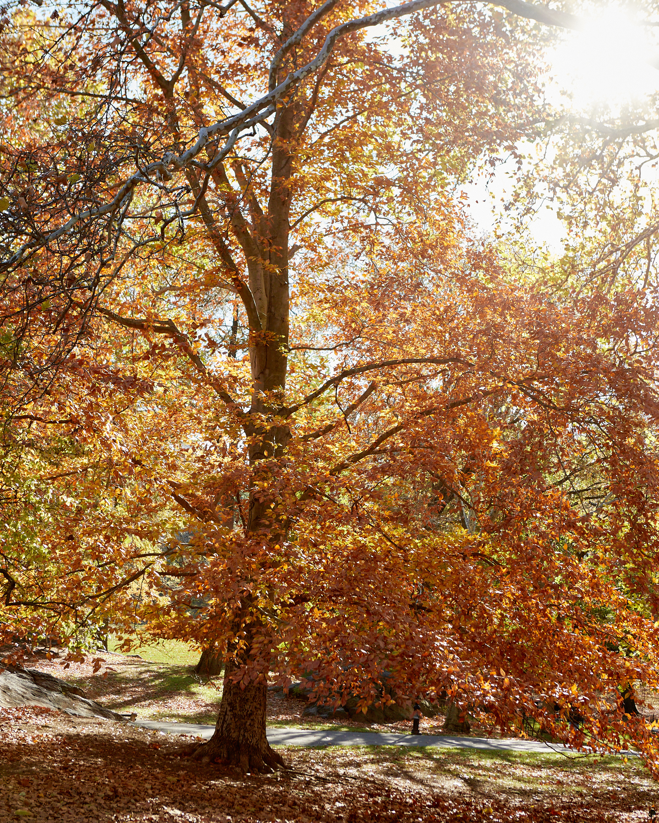 BE2DDFFC-F01D-4765-B779-5AF6ABB65E78