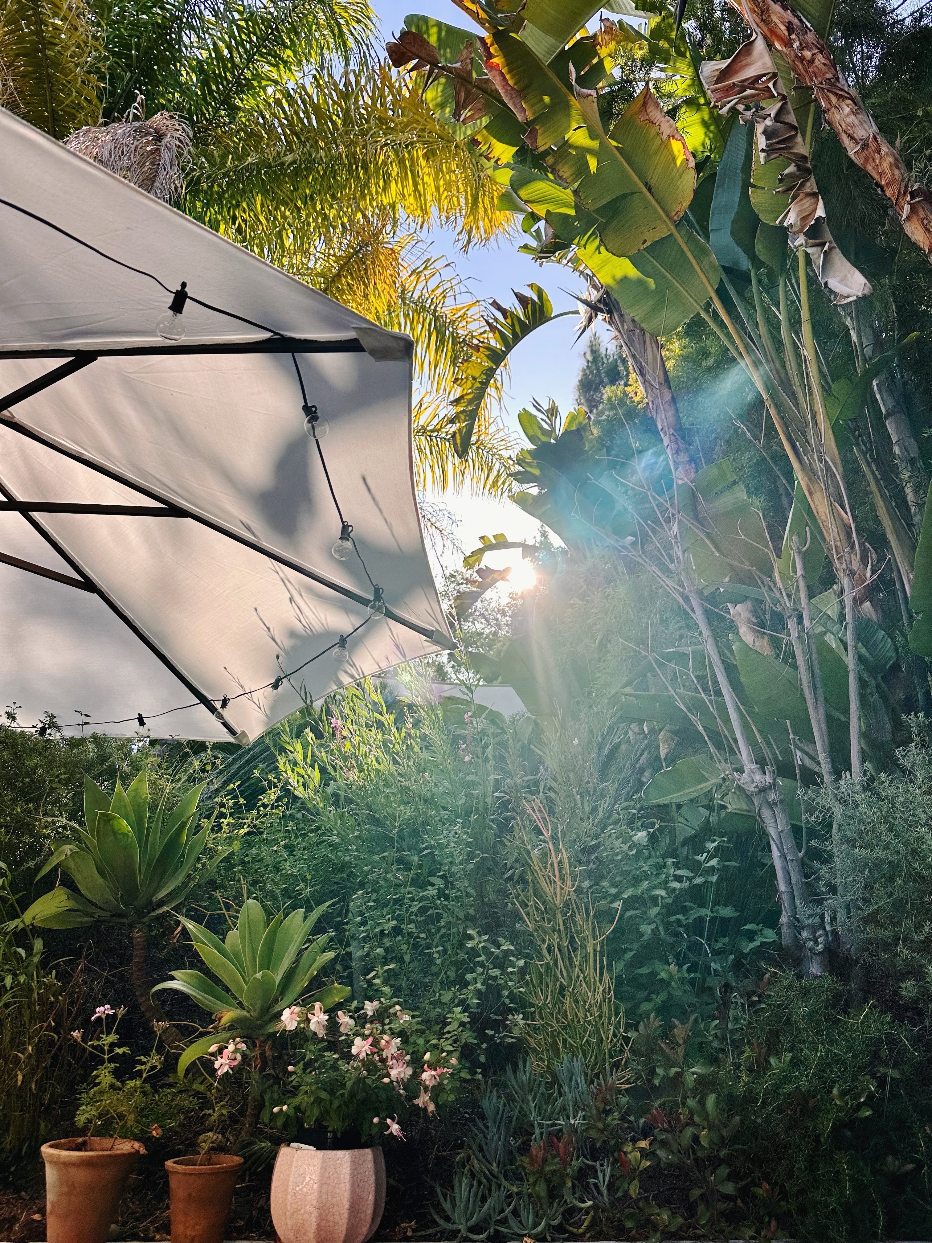 EB5DDB6C-4C85-4835-8C2F-7CB7F3DF3D2B