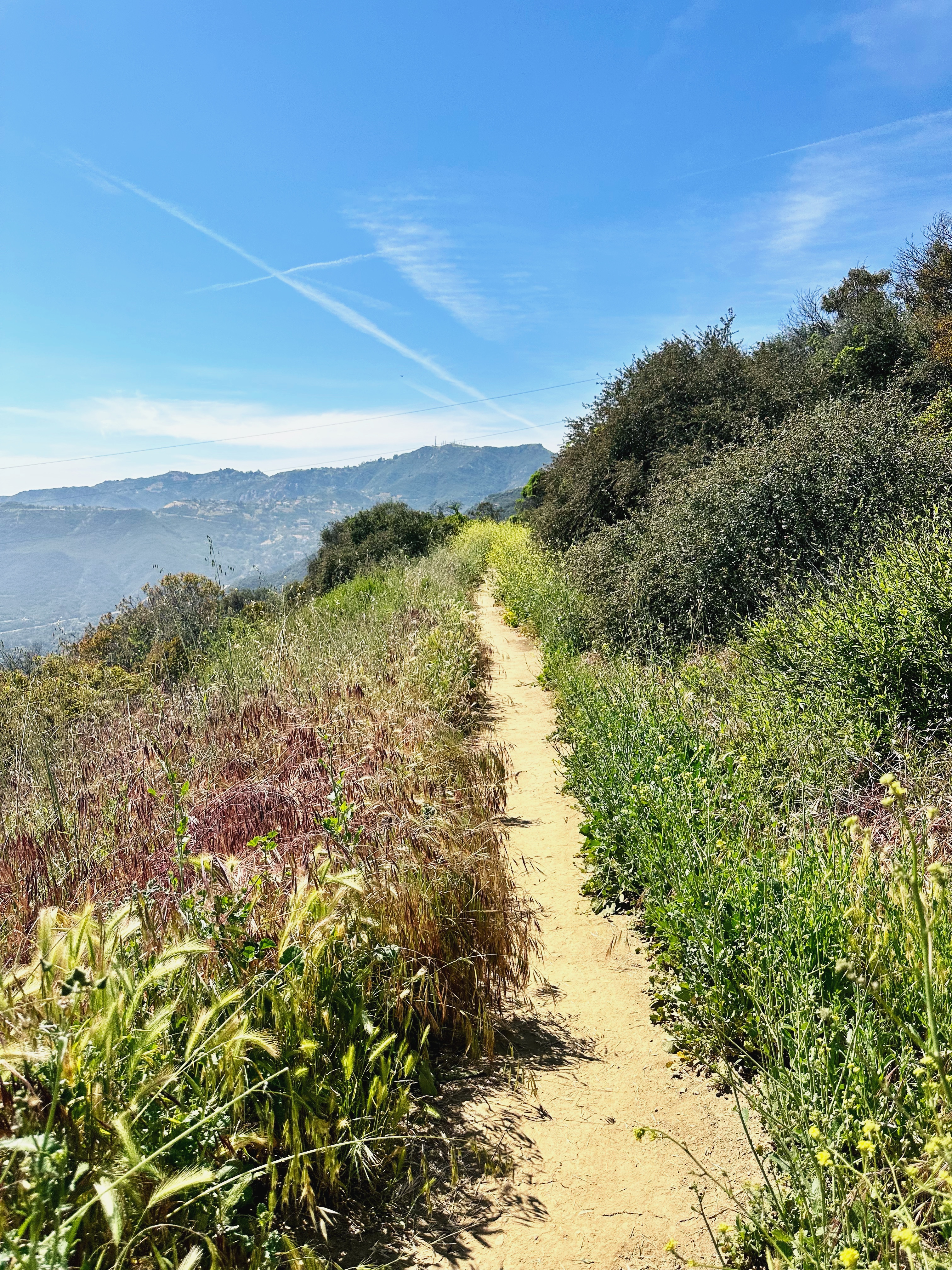 8E9442C4-CE77-42D6-AB6F-8BCF12285E1E