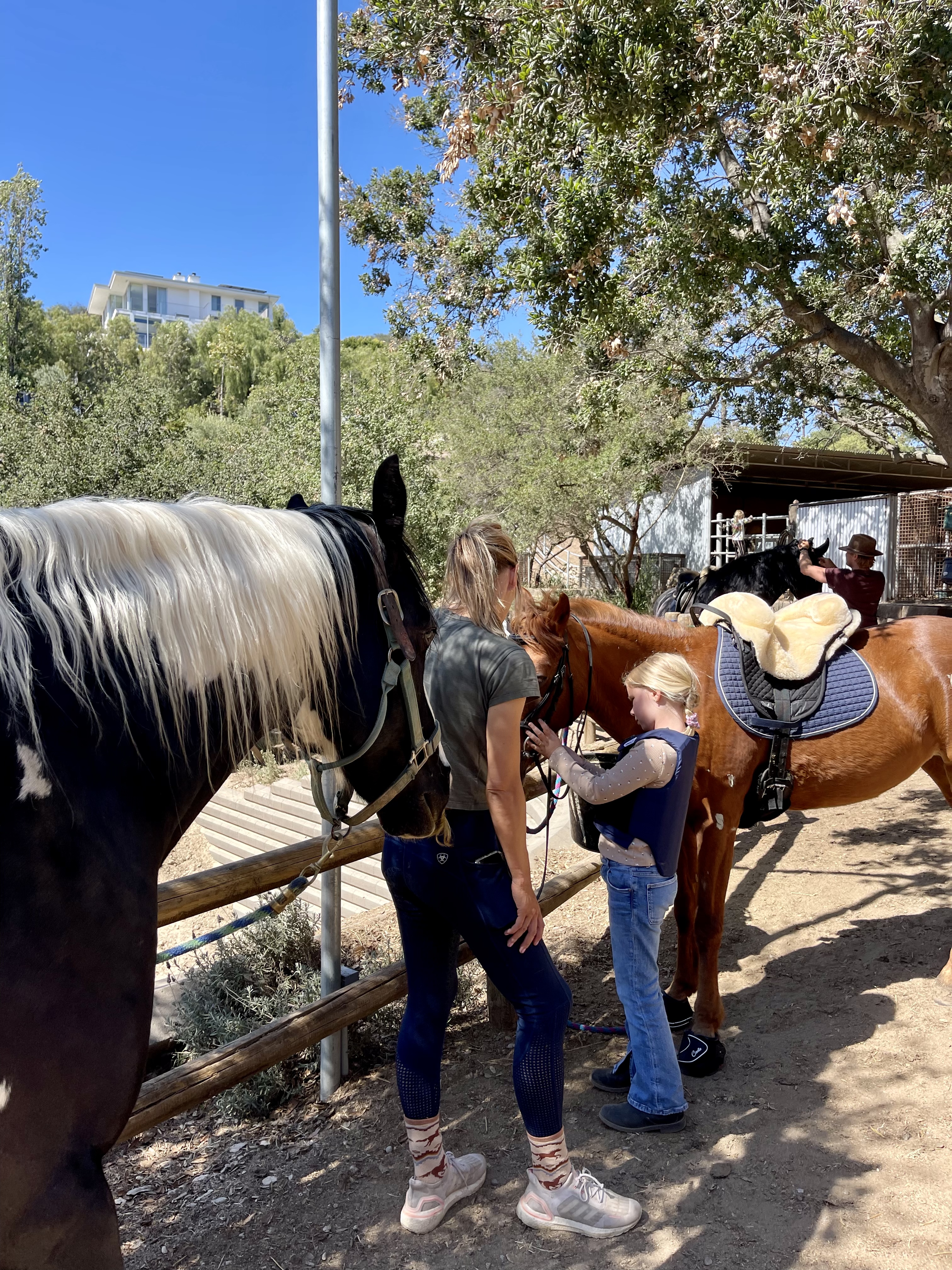 A6968B53-2BE8-4038-9B79-2DE5BD575B3E