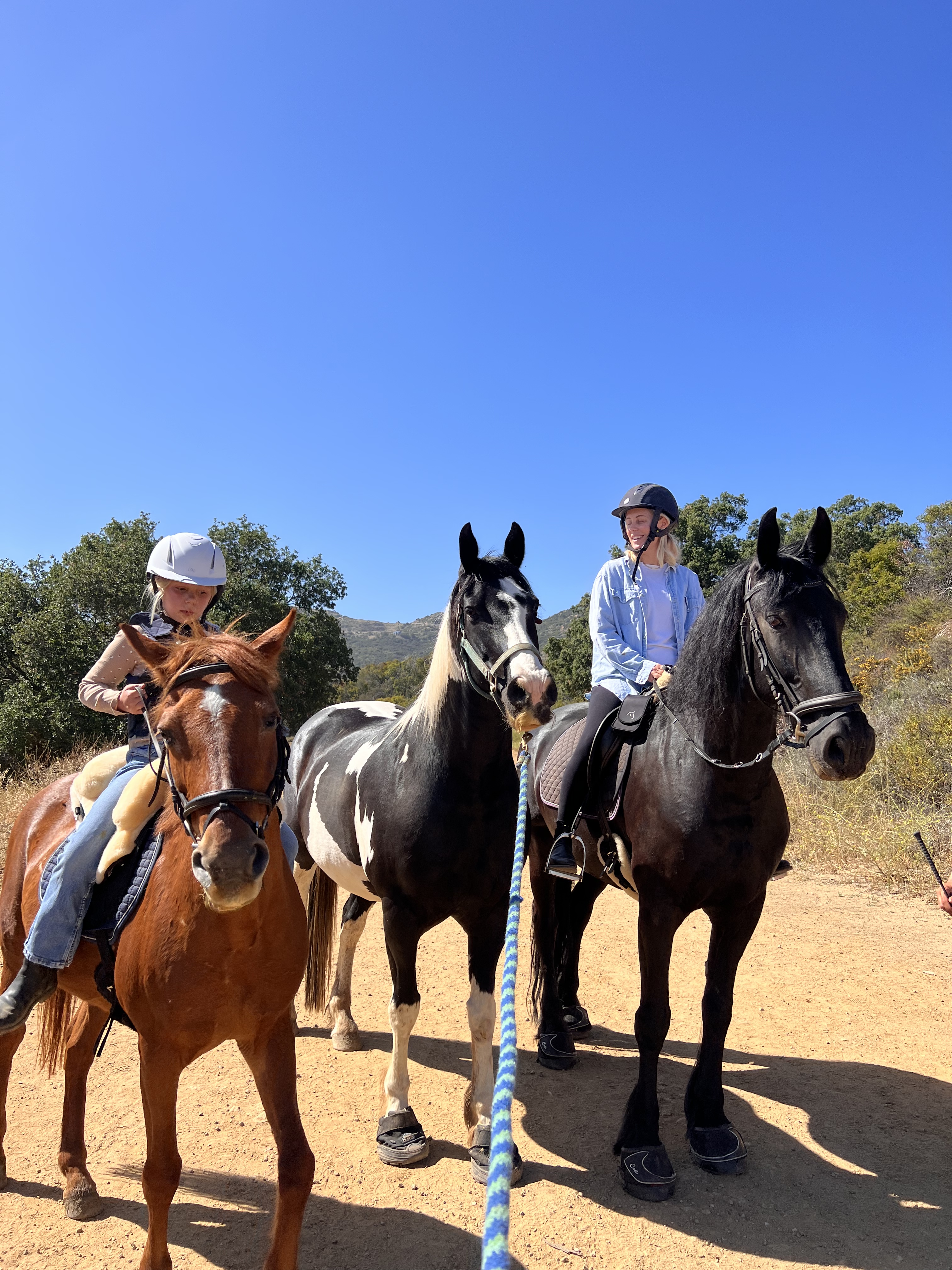 81A8C9D0-FD10-41FF-8F74-9CC8AF68FA85