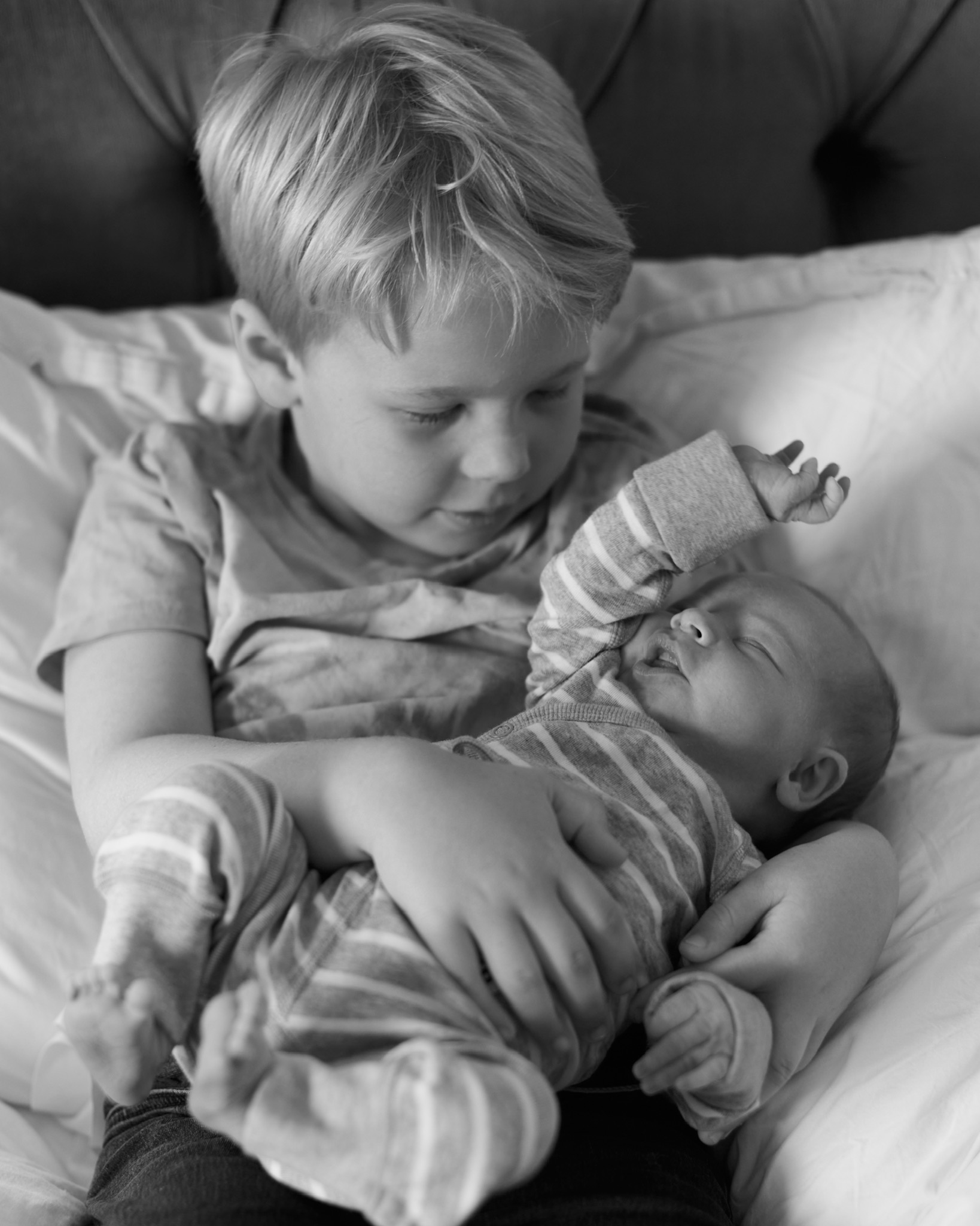 805B5866-E5B8-4529-BC7C-3BFD3F3B2ABC