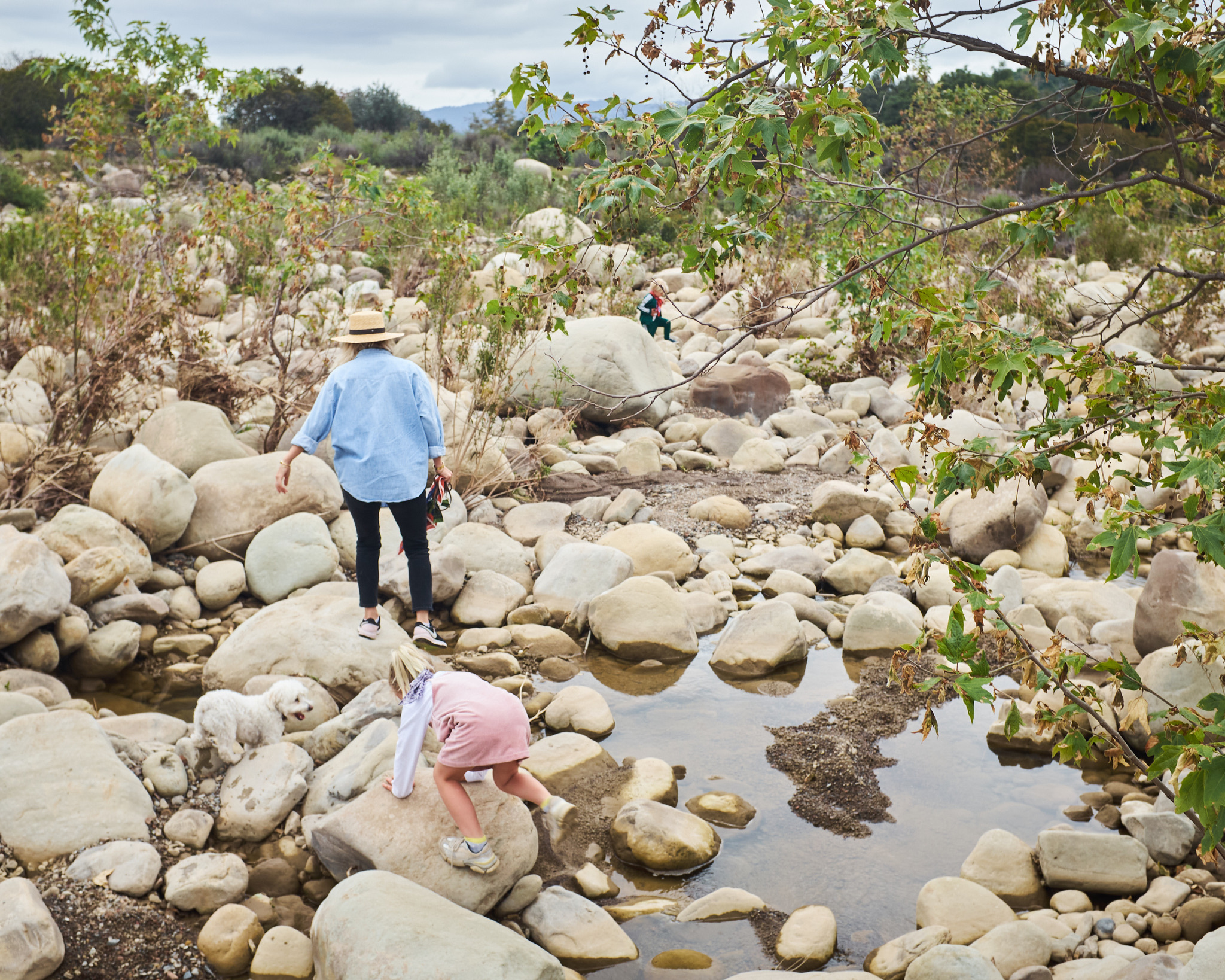 17C4D4CA-0B16-4416-8EB7-E85F20655B01