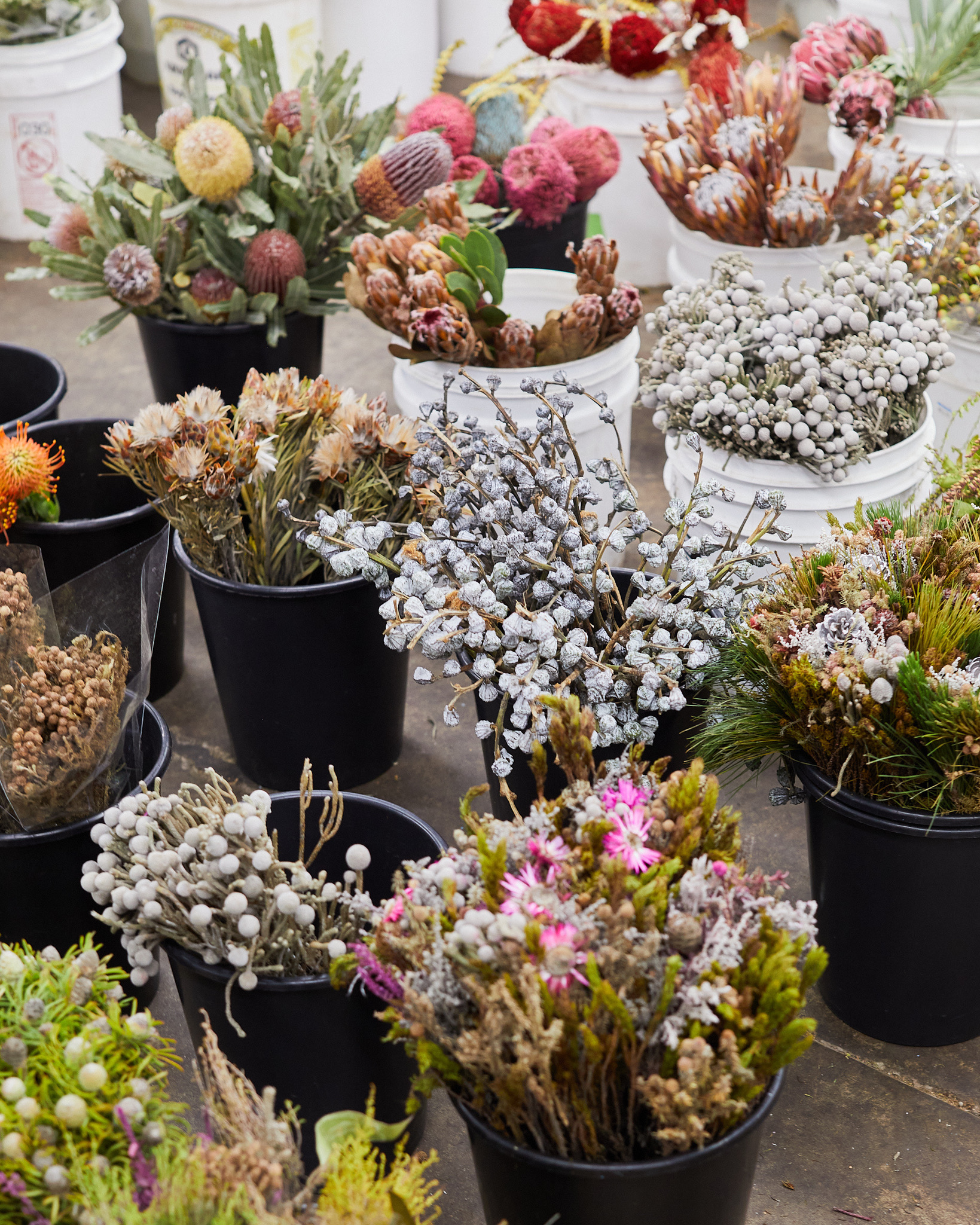 F98D596B-CB7C-42C8-83C3-B2416BA586E7