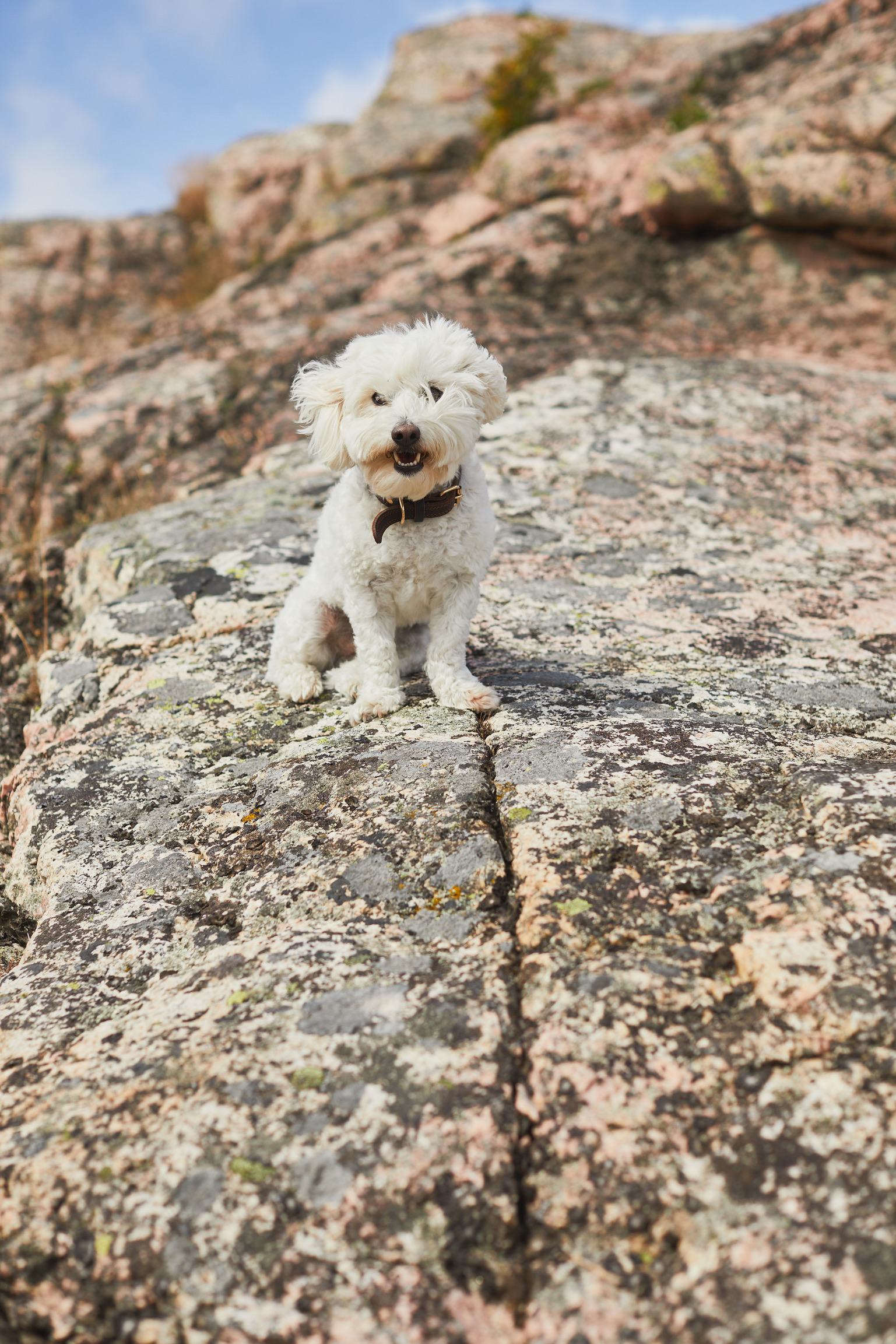 7E5DB317-A5FE-423F-B5E8-599D37684E0C