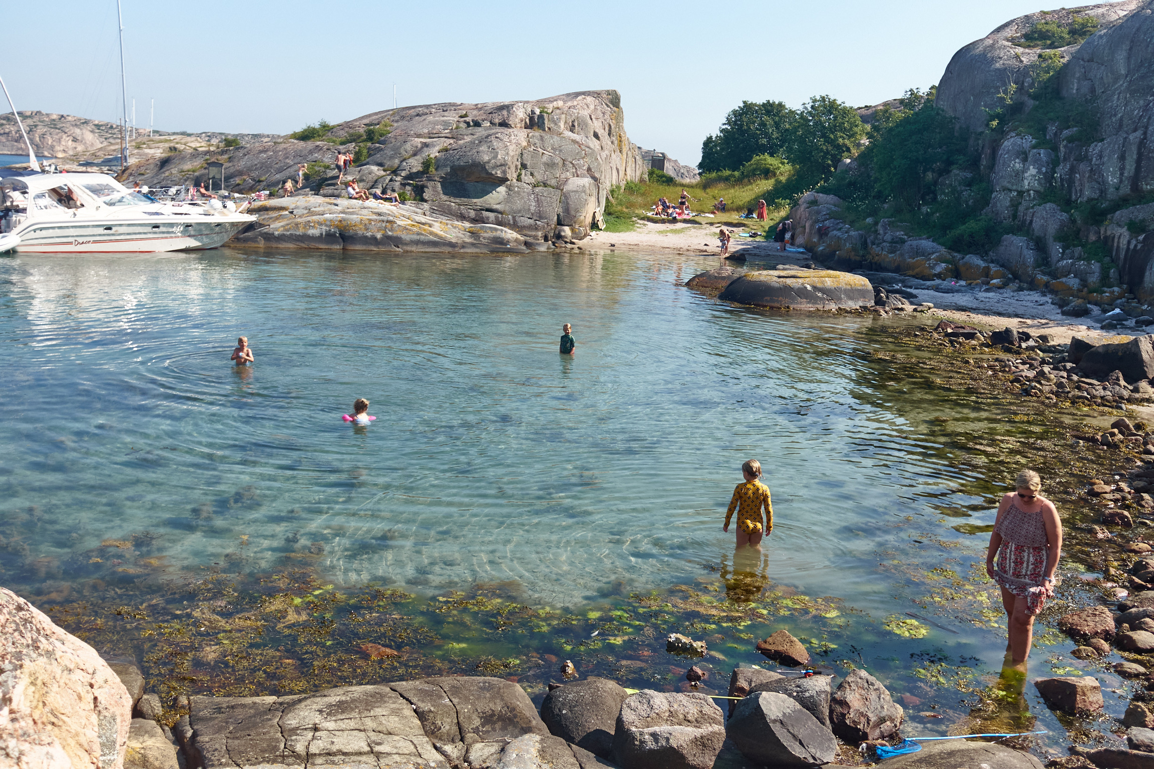 FE52232A-B5CD-4220-A361-4B8F0BF653AA