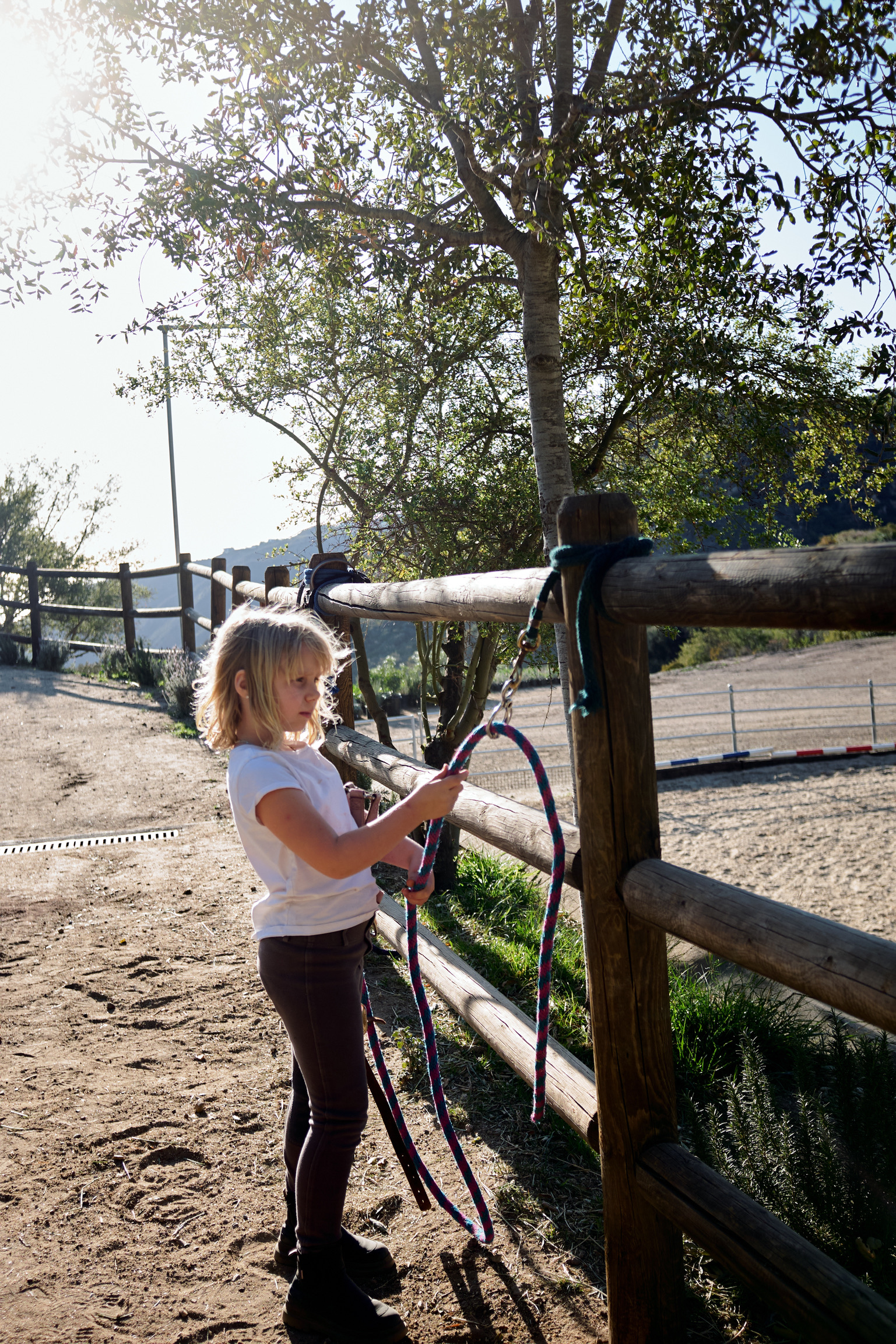 F4D53AD7-BA71-48AE-B1B9-01C56C8A6F39