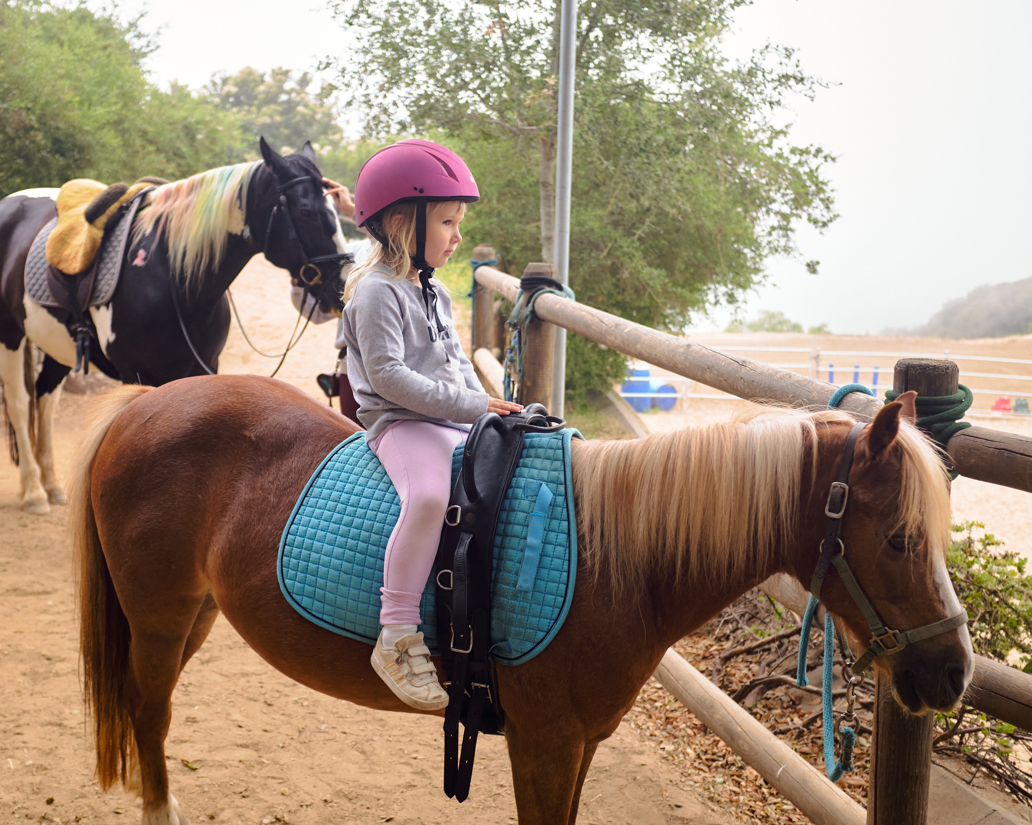 6CAEC196-2381-4854-98A6-E52E1D380492