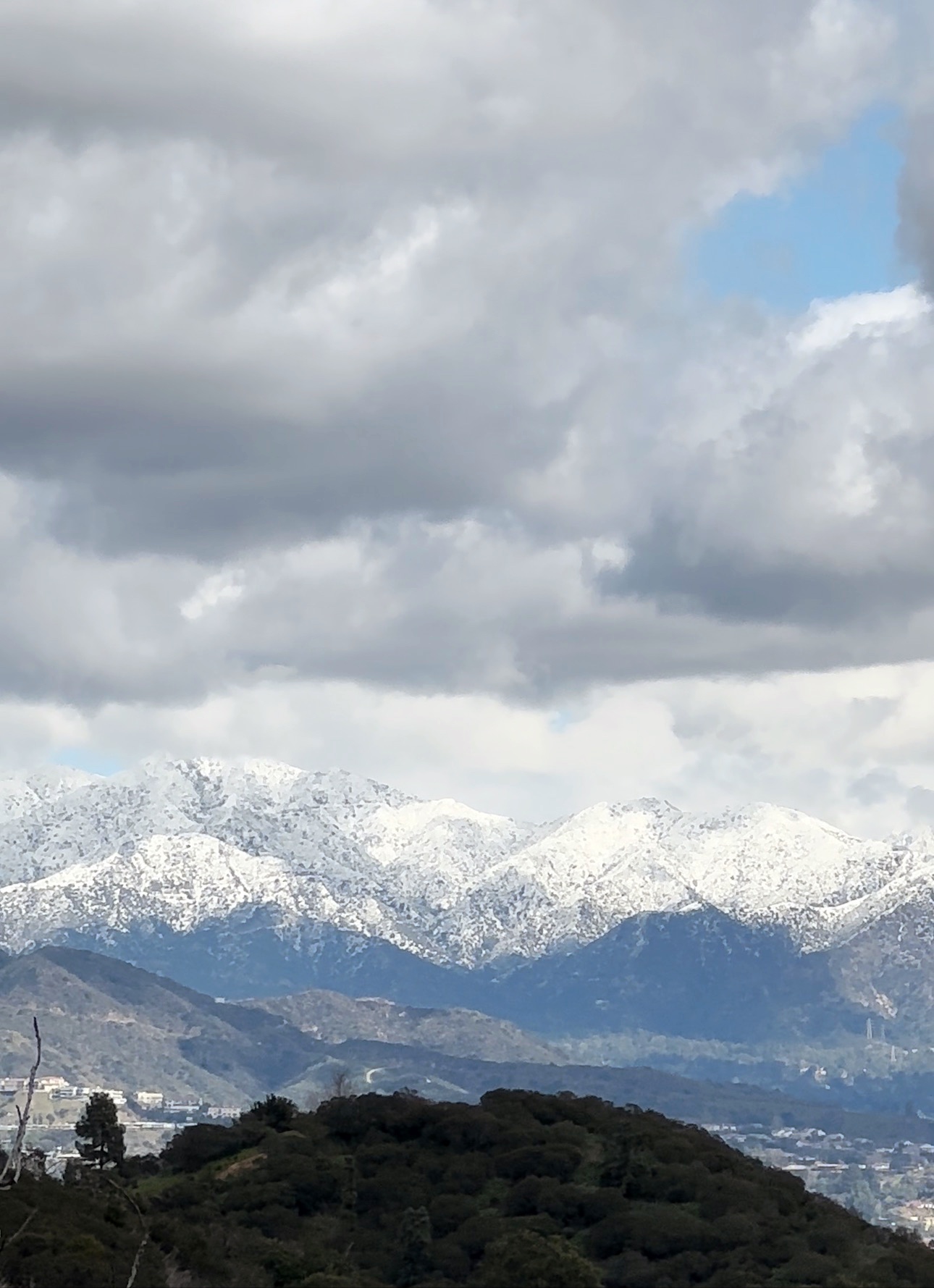 B082BEDD-3A16-4C3A-BE2A-A6C70B55C756