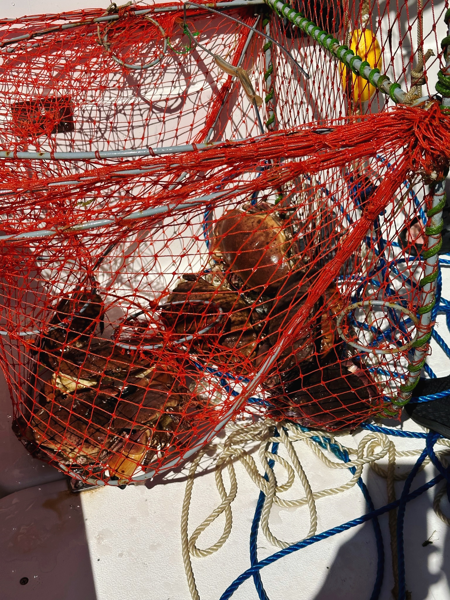 F0E11E8D-11B1-4551-966F-E20172BB55D4