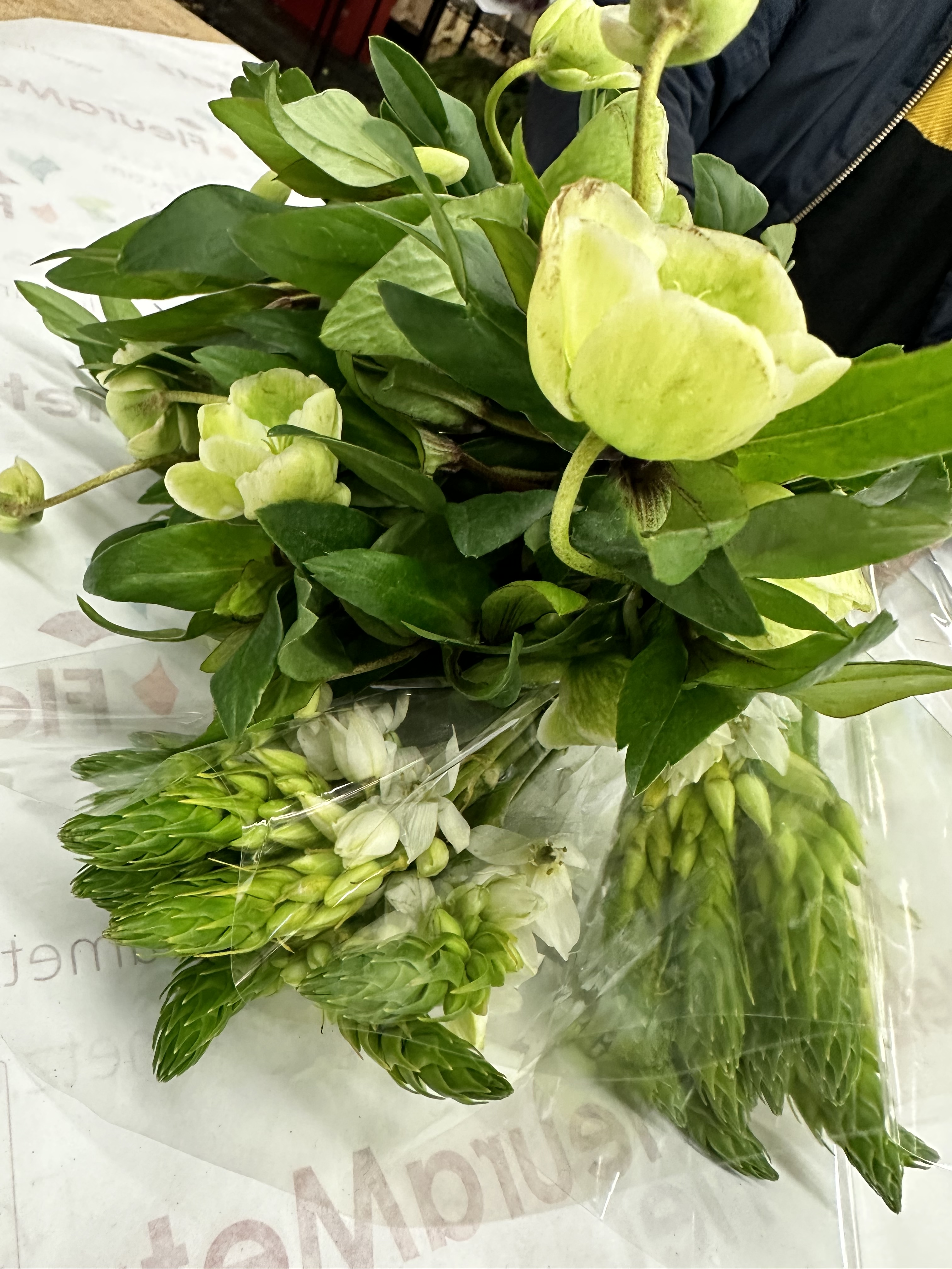 063C2437-41E4-49D2-A06D-BD5B5DC3FA6C