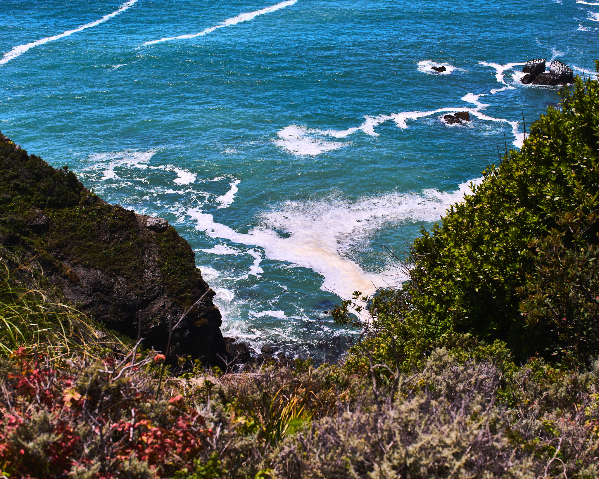 DDB5CA8F-B97D-415D-A80B-8C4094641879