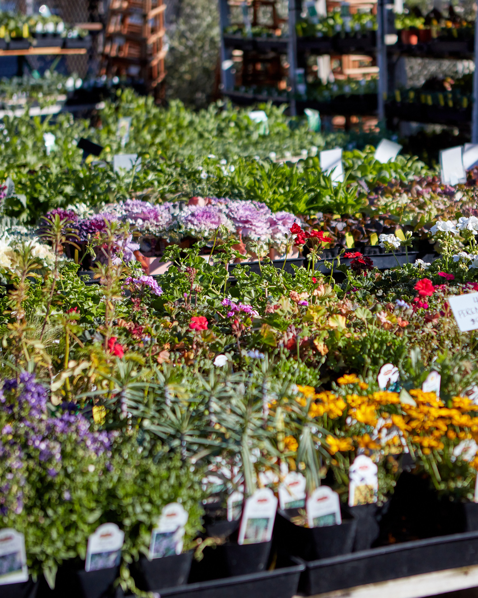 4513C664-665C-4E98-AAB0-9CF15D11CB74