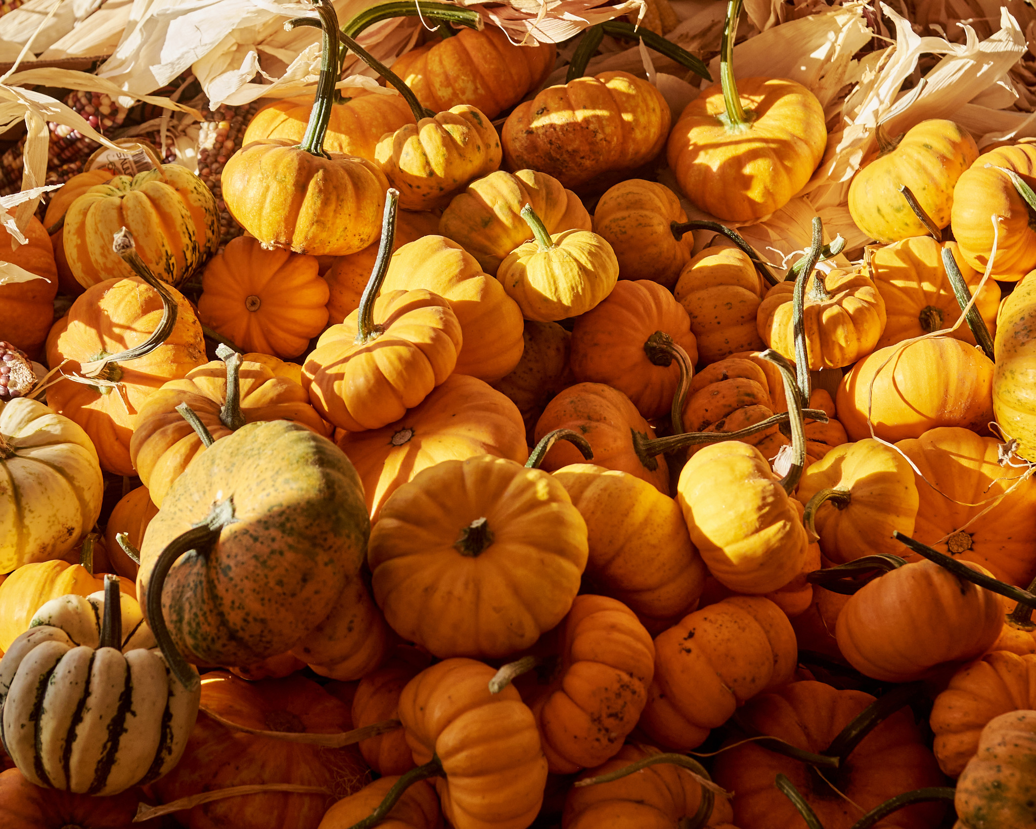 D0B9AD90-3259-4C07-A9F4-396B84685631