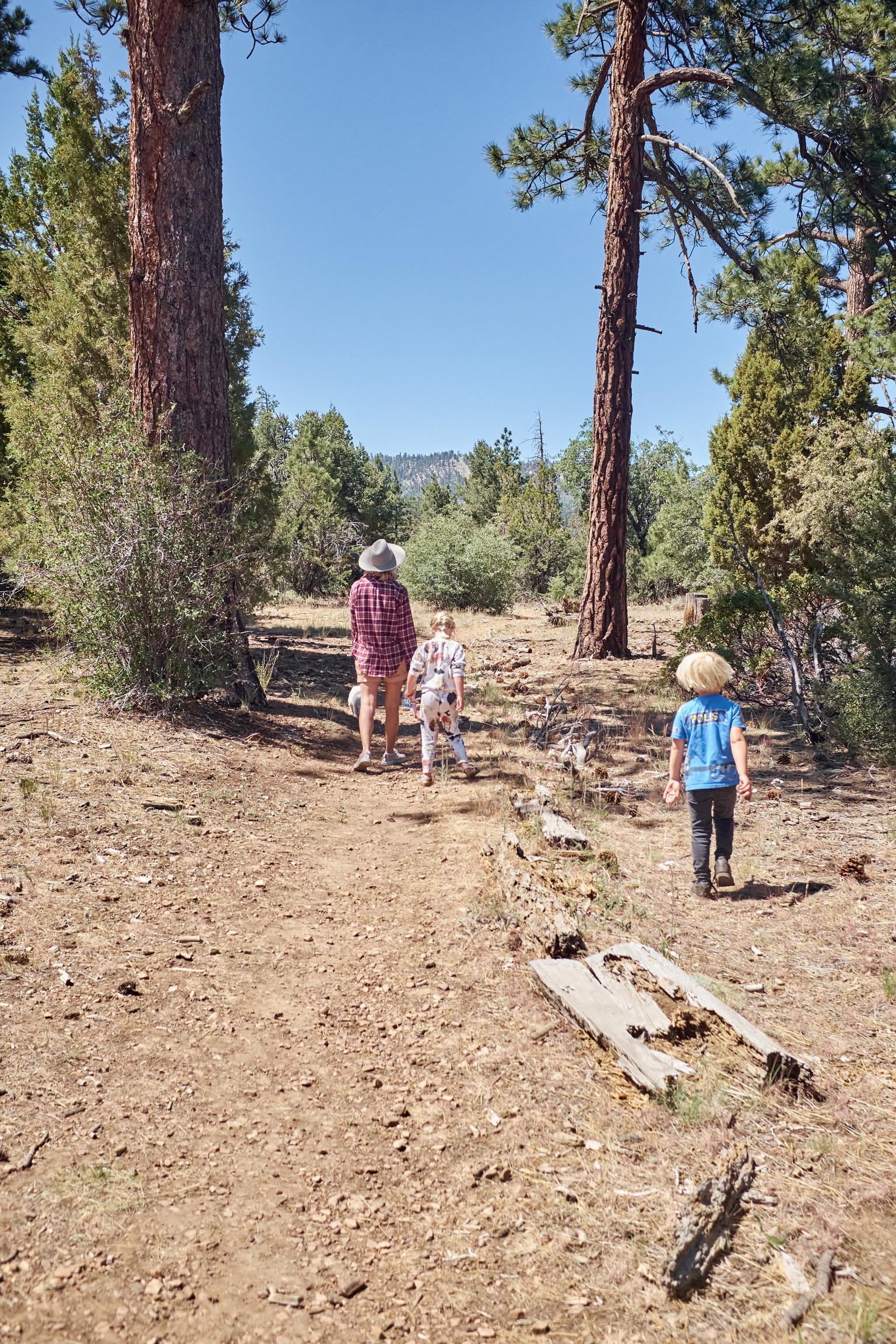 75C0334B-3155-493D-B90F-492C70ED6A41