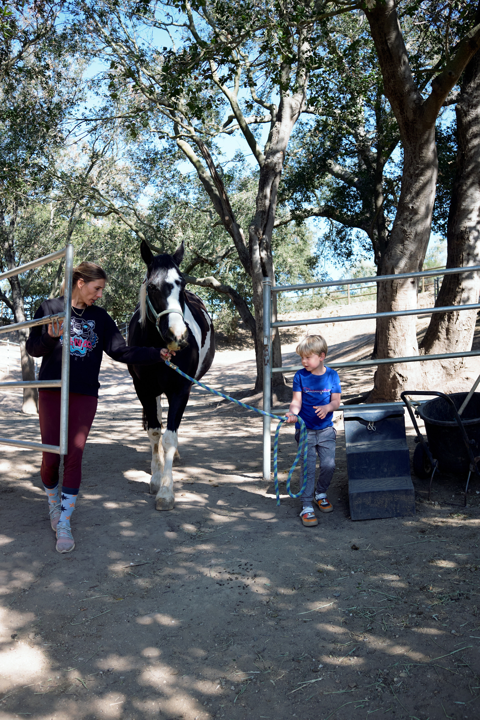 EA579238-4CAB-4BDD-958E-F43AADEB4643