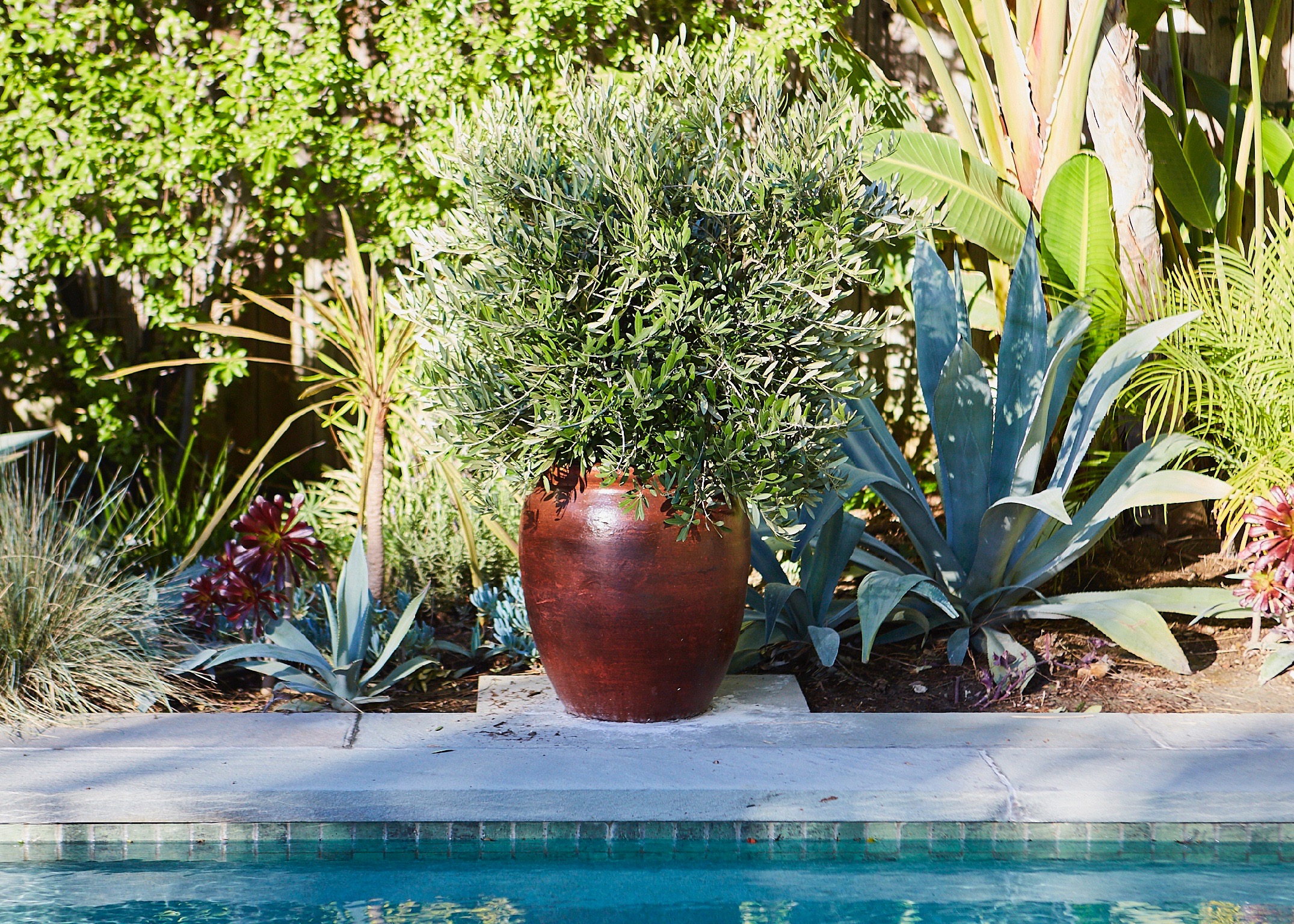 Untitled Job__S1_0641