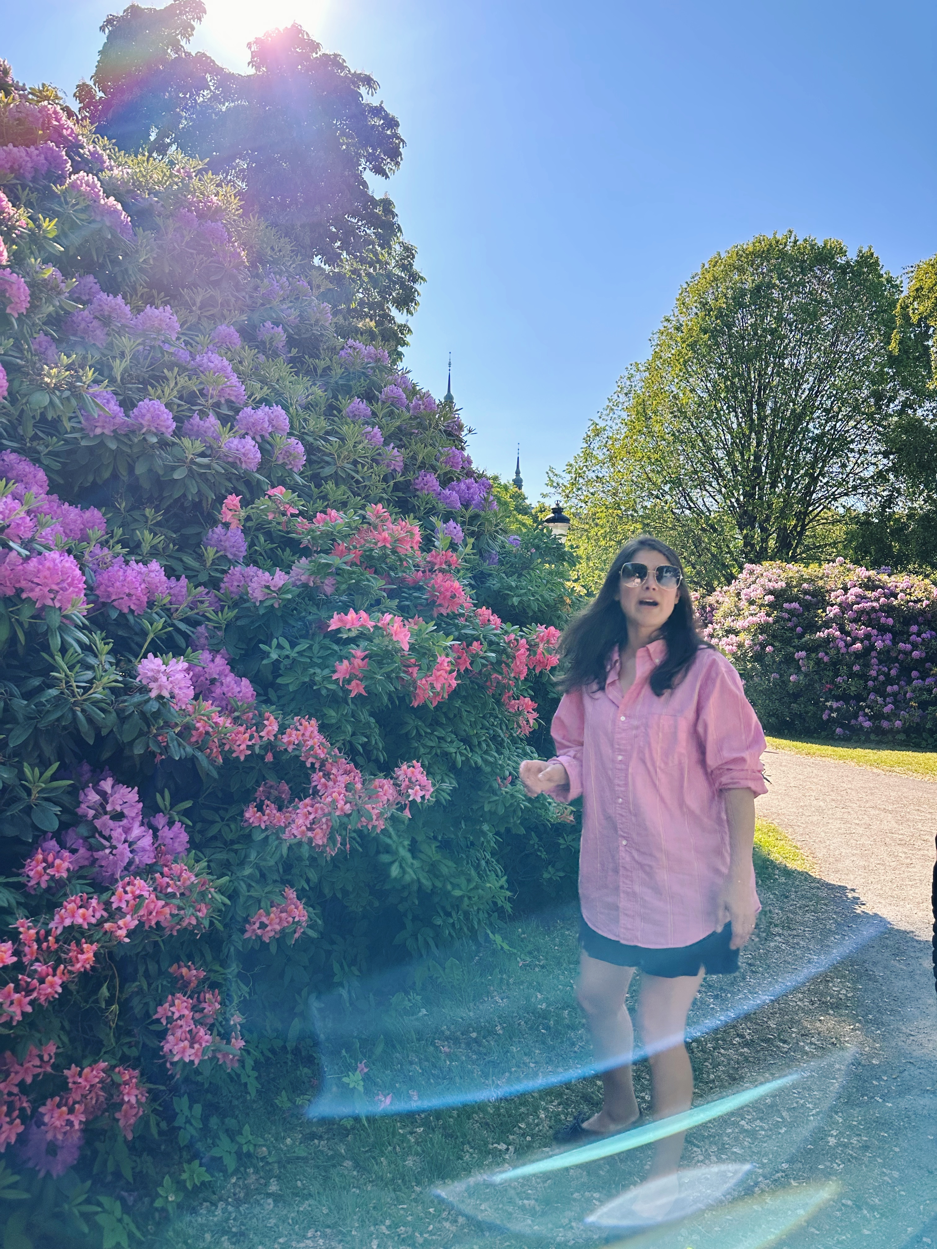 C3196076-D973-4E49-B24B-809747D4AB77