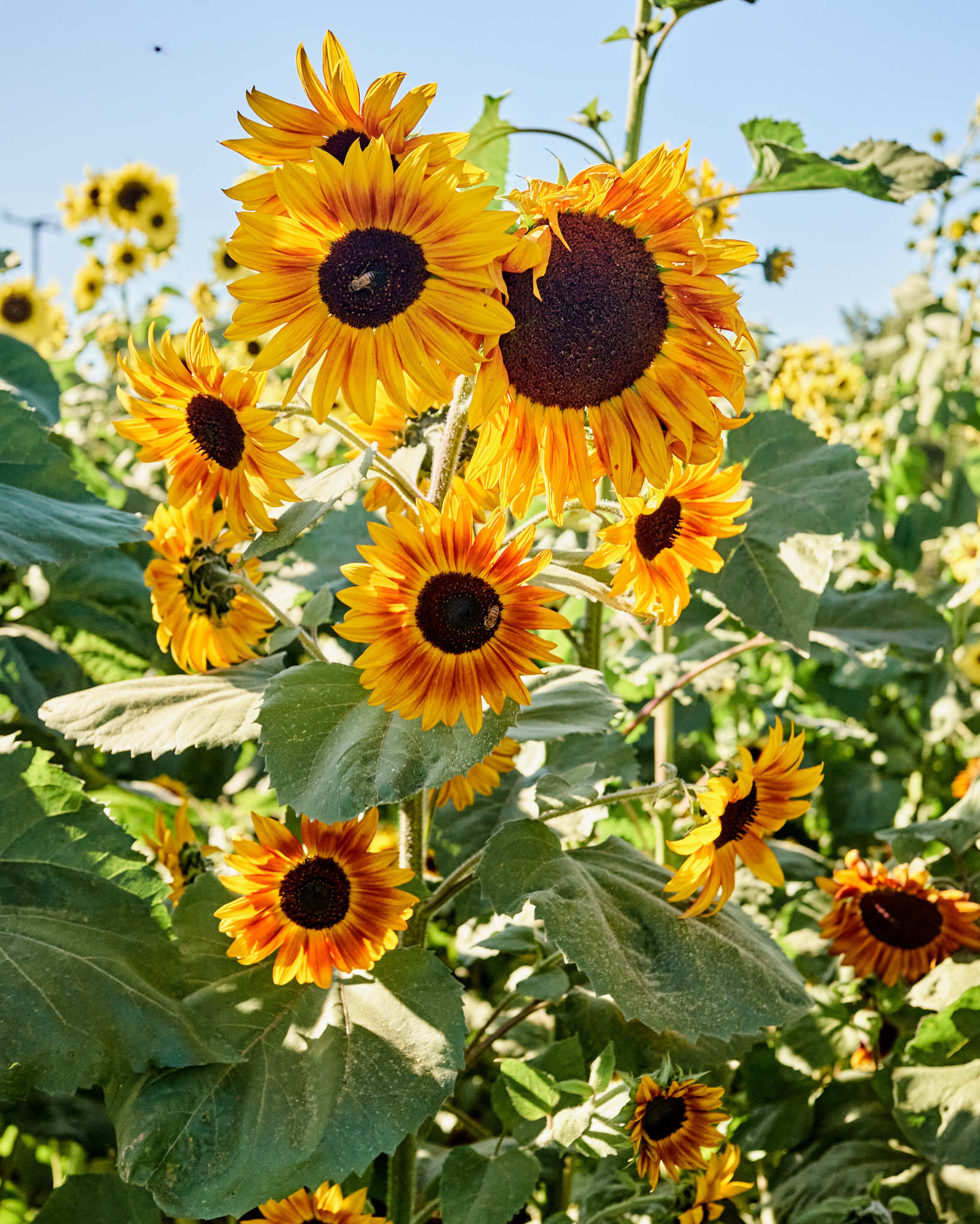 3426BCED-56F4-42DA-B769-2496BBFBA349