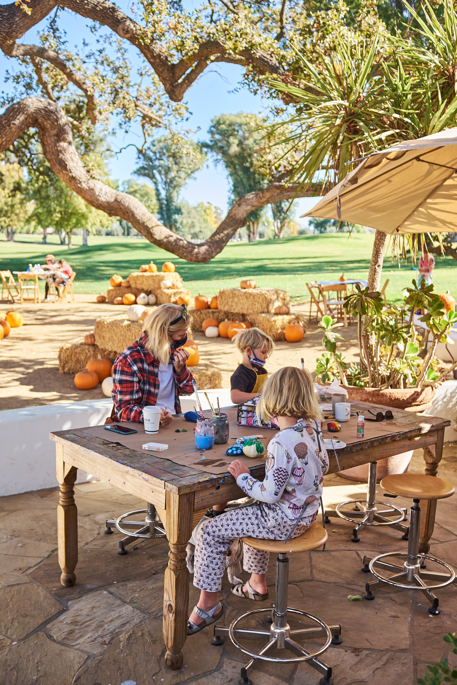 2884C269-6E0C-48E3-AEED-9DF32A884A65