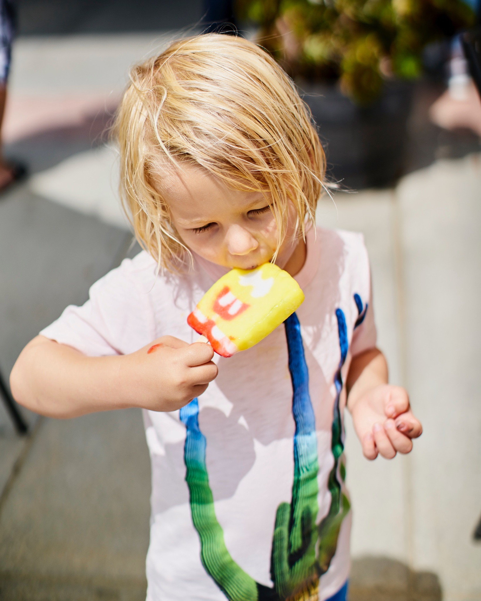 Untitled Job_DSC01614