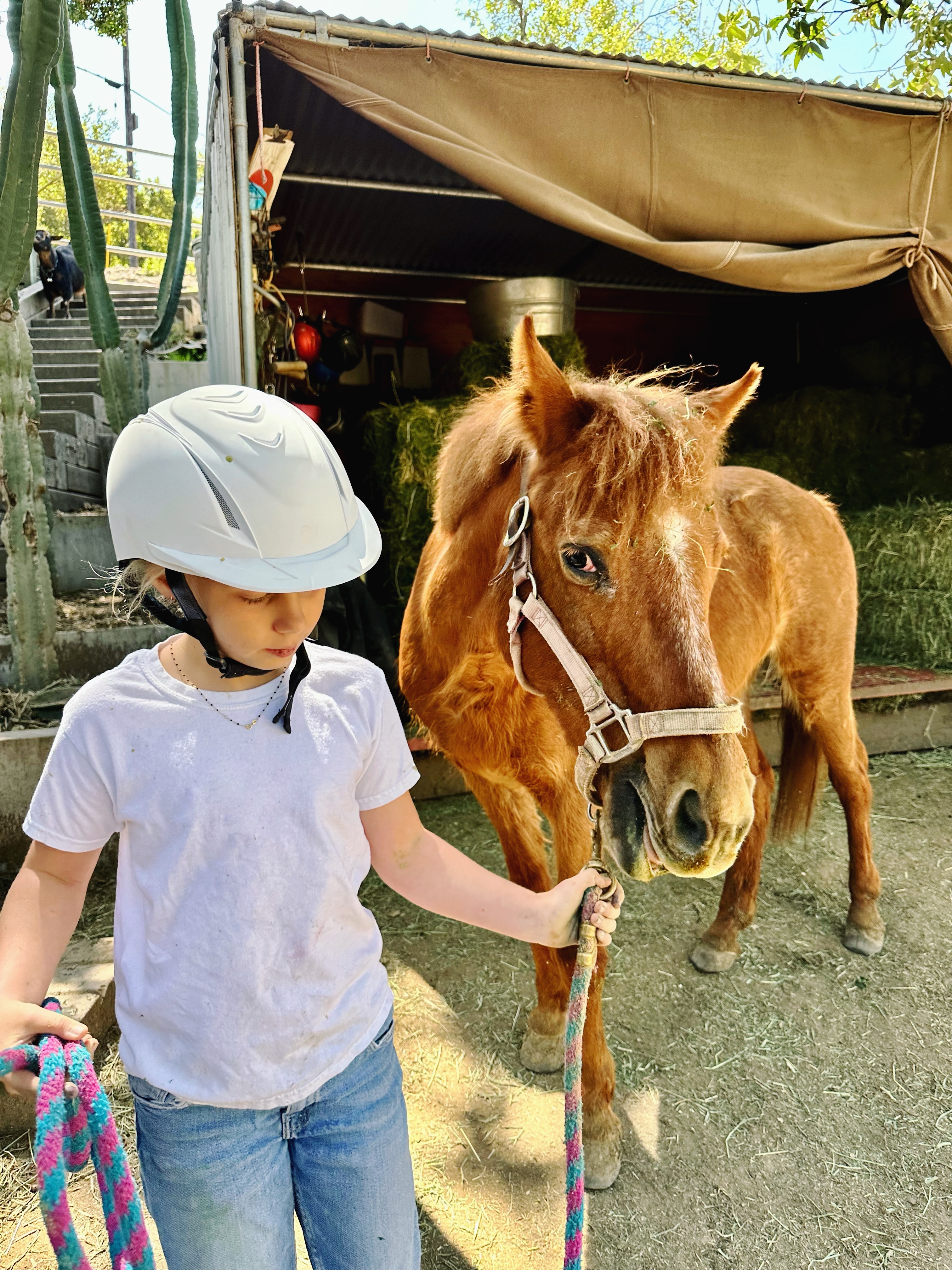 A5A444F4-5D58-4F02-9347-A9670E616DFC