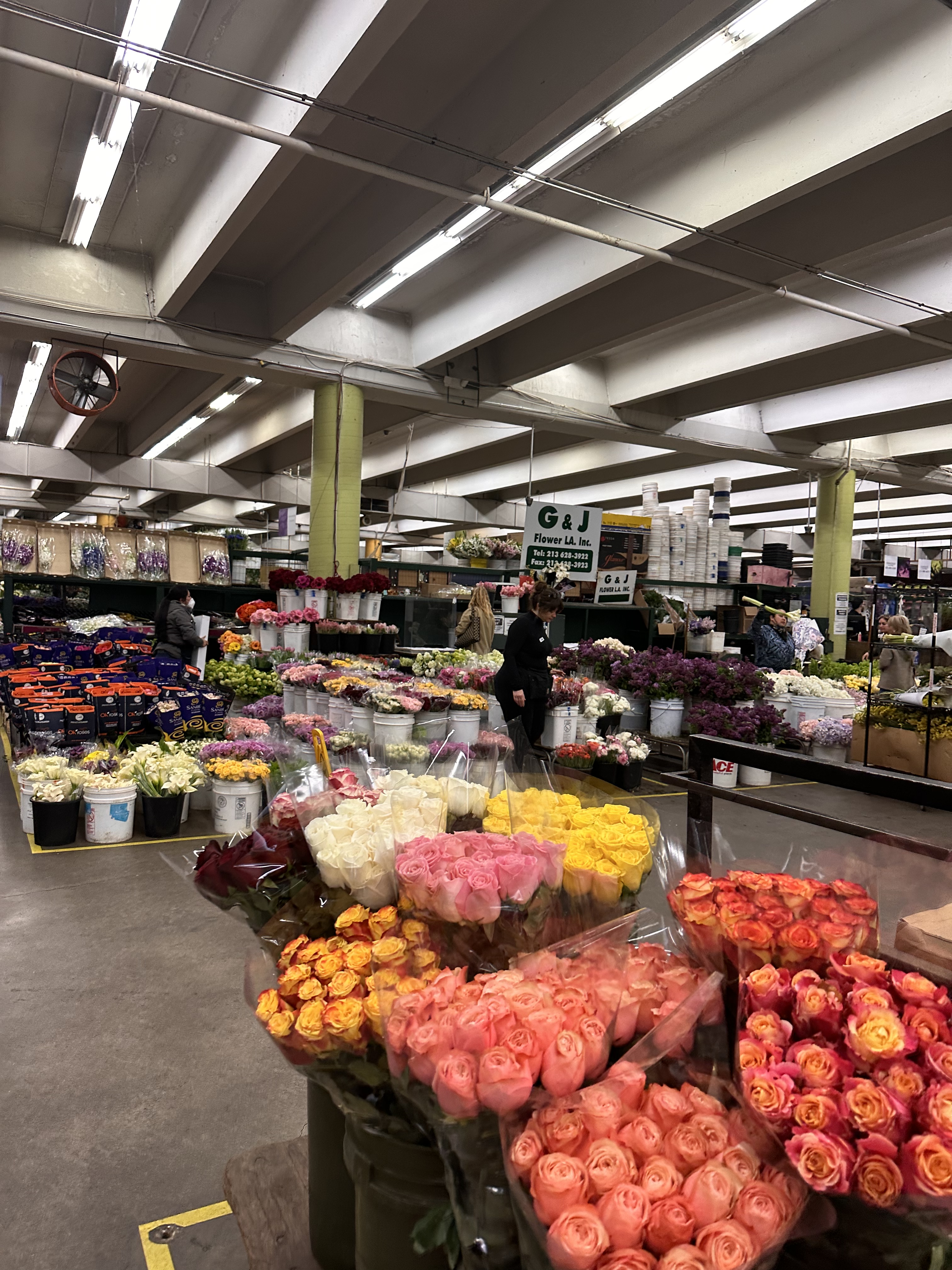 90E1CF14-C696-46A6-828D-78E9793B3B08