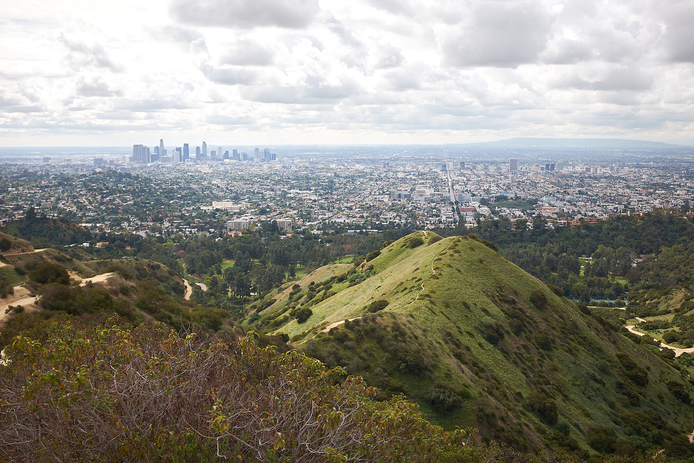 2FFDF021-8FFB-404D-95B8-5F56C690D25A