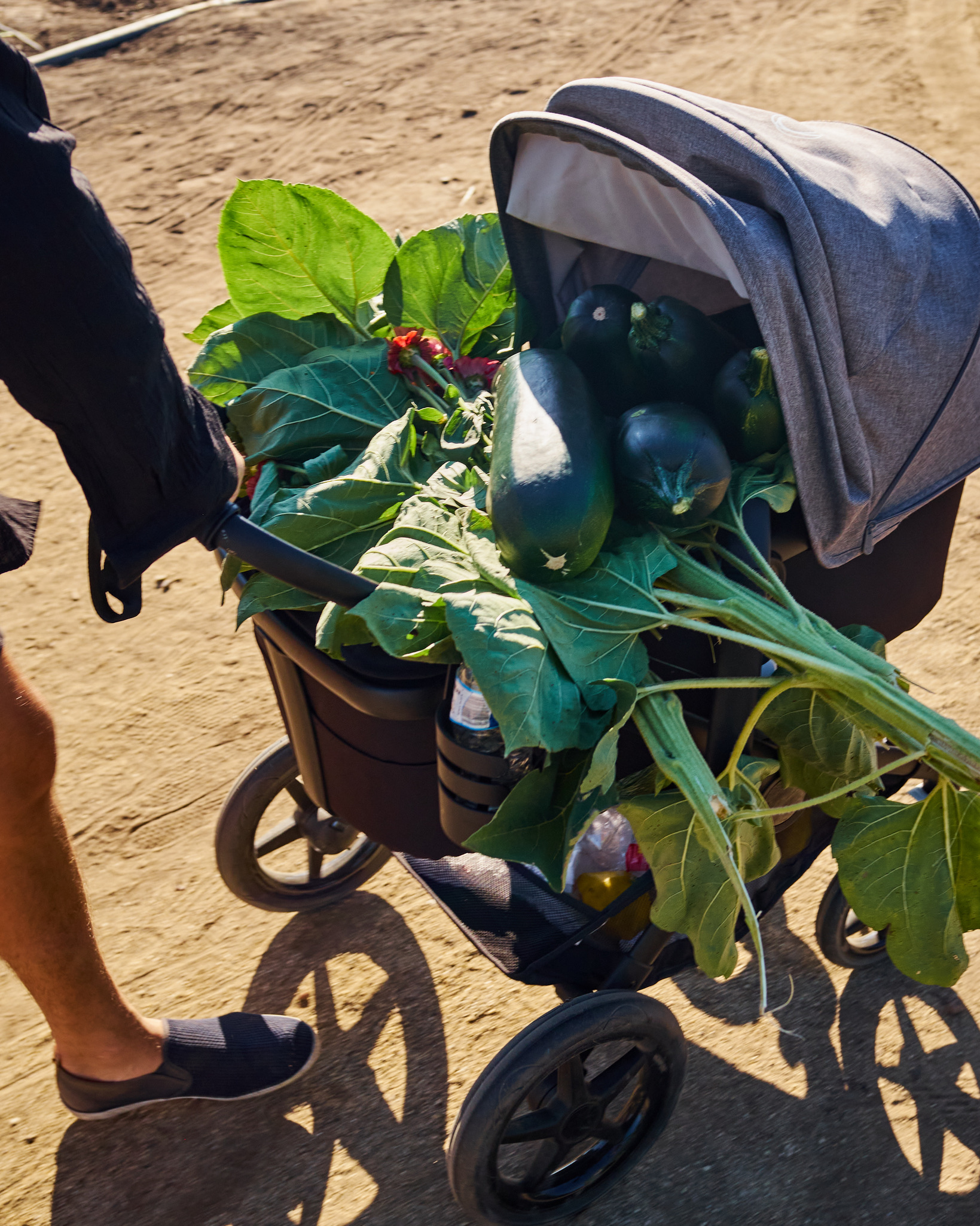 09C04B94-0440-47F0-9B52-361893DFD939