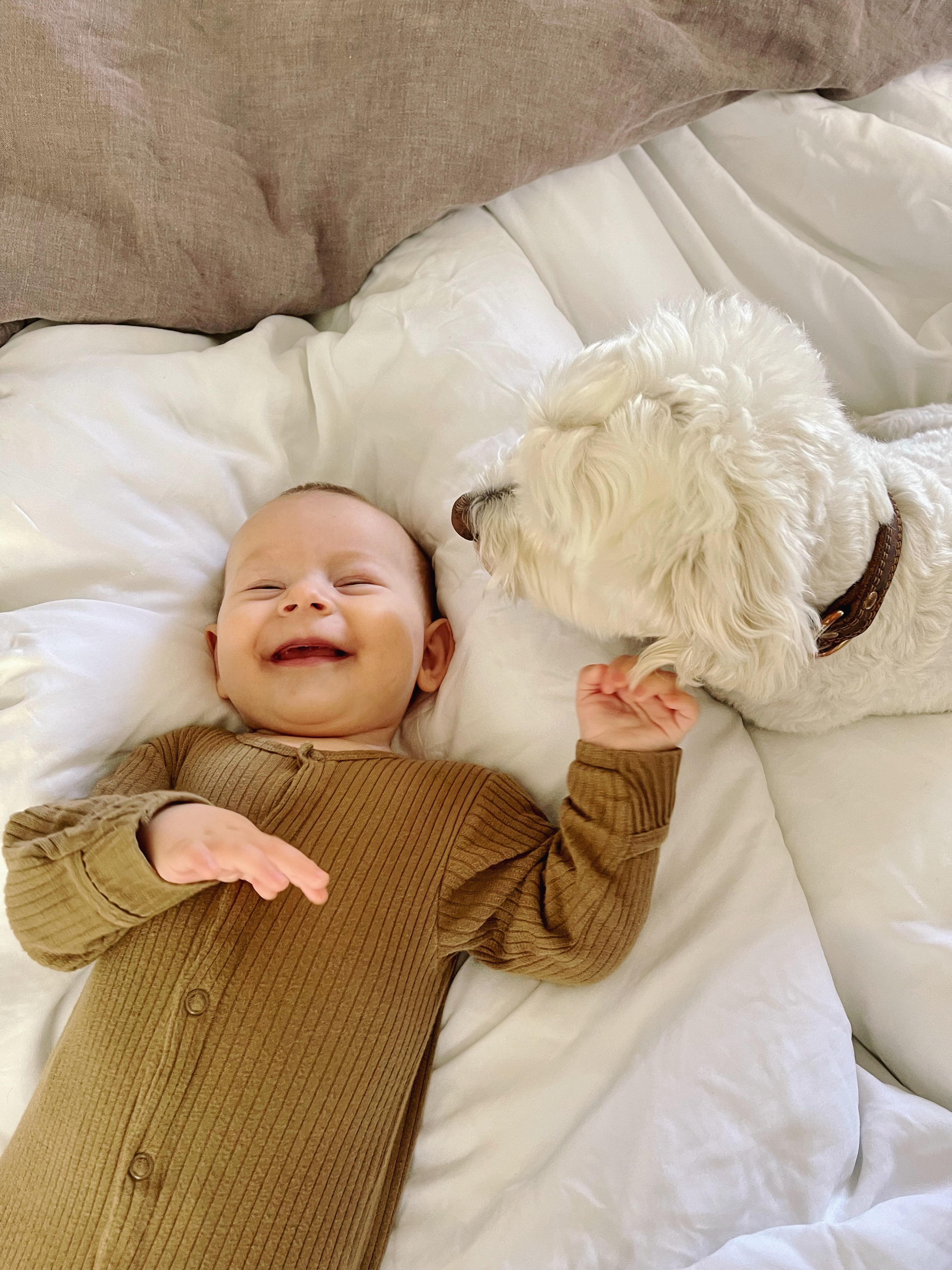 495F343D-908D-4206-99DE-F225319C78A5