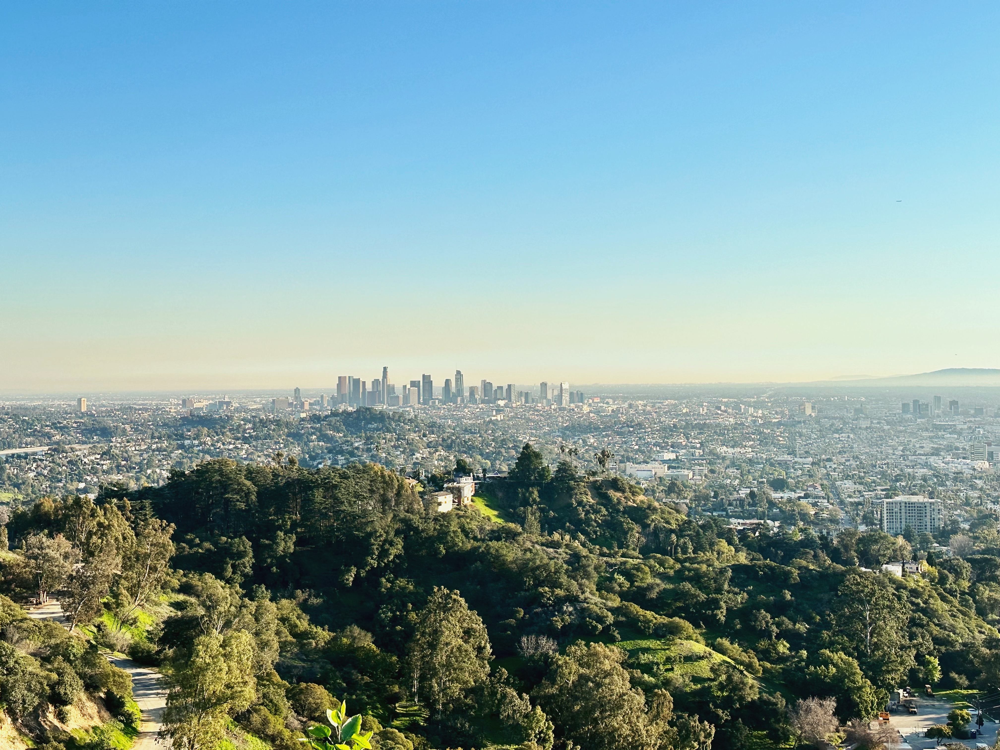 39195535-3F13-466A-A46C-8677F2DE98E0