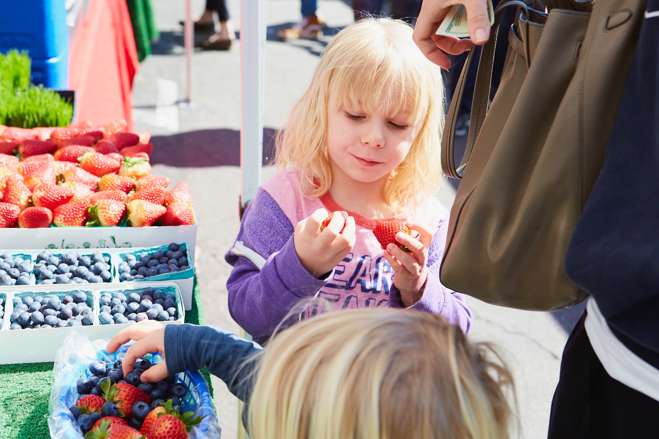 Untitled Job__S1_7486