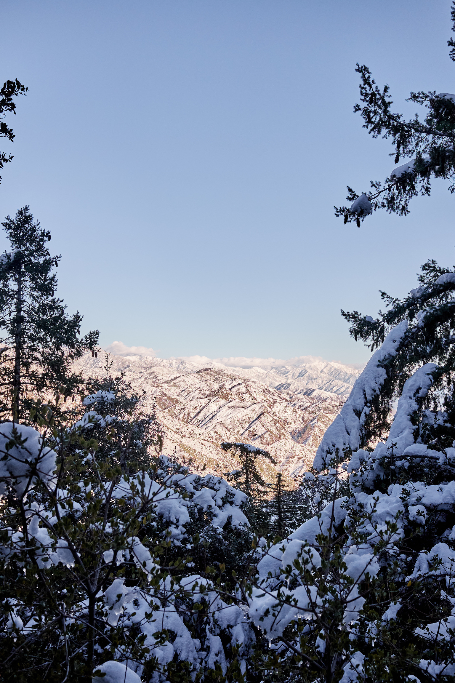 8EFC4484-FC72-40D4-97FB-849F7877886C