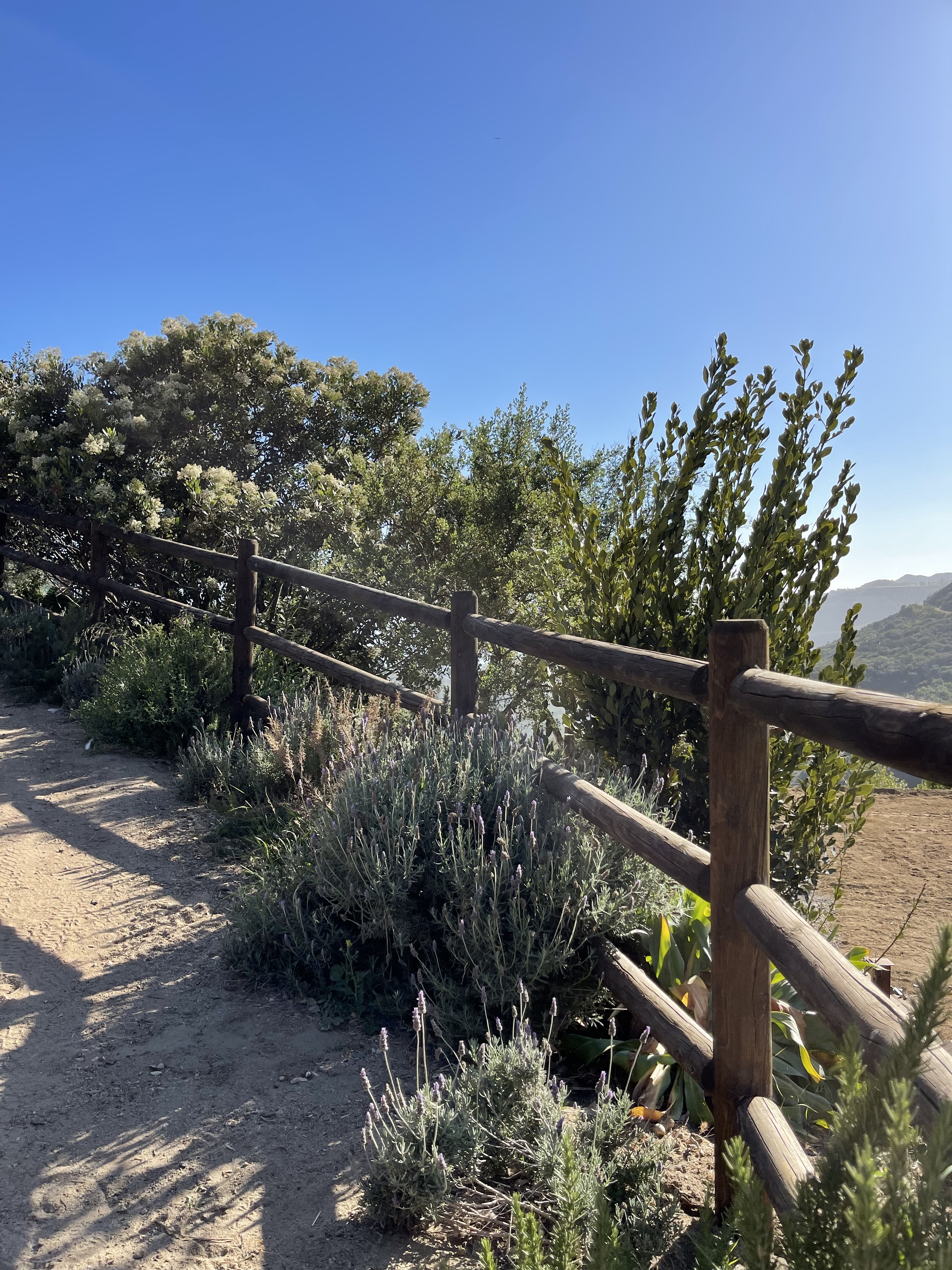 D03F9204-EE34-430E-9D0A-9584E8E83E87