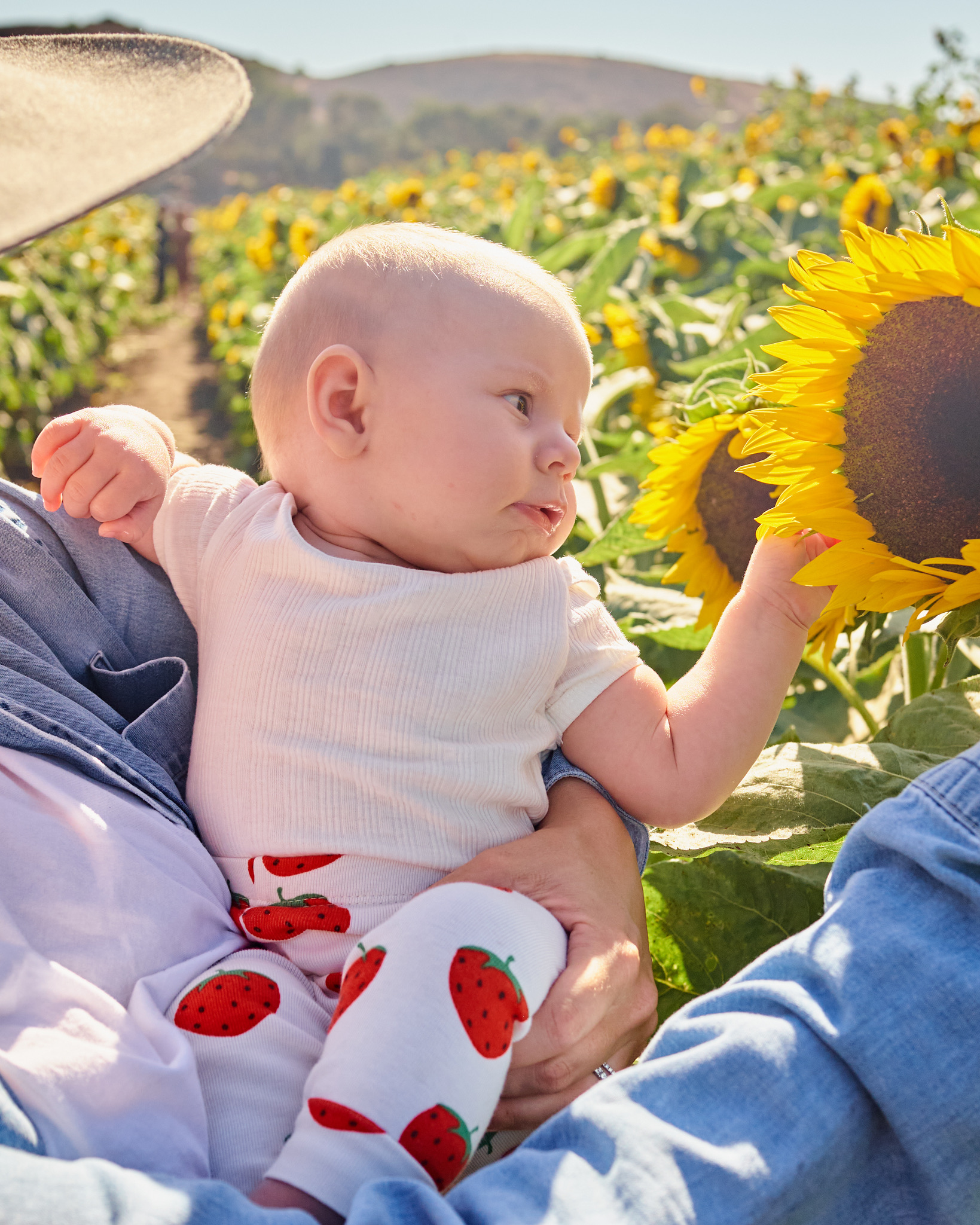 CA8C8094-623A-42F2-857E-7A6AFBCDCFAD