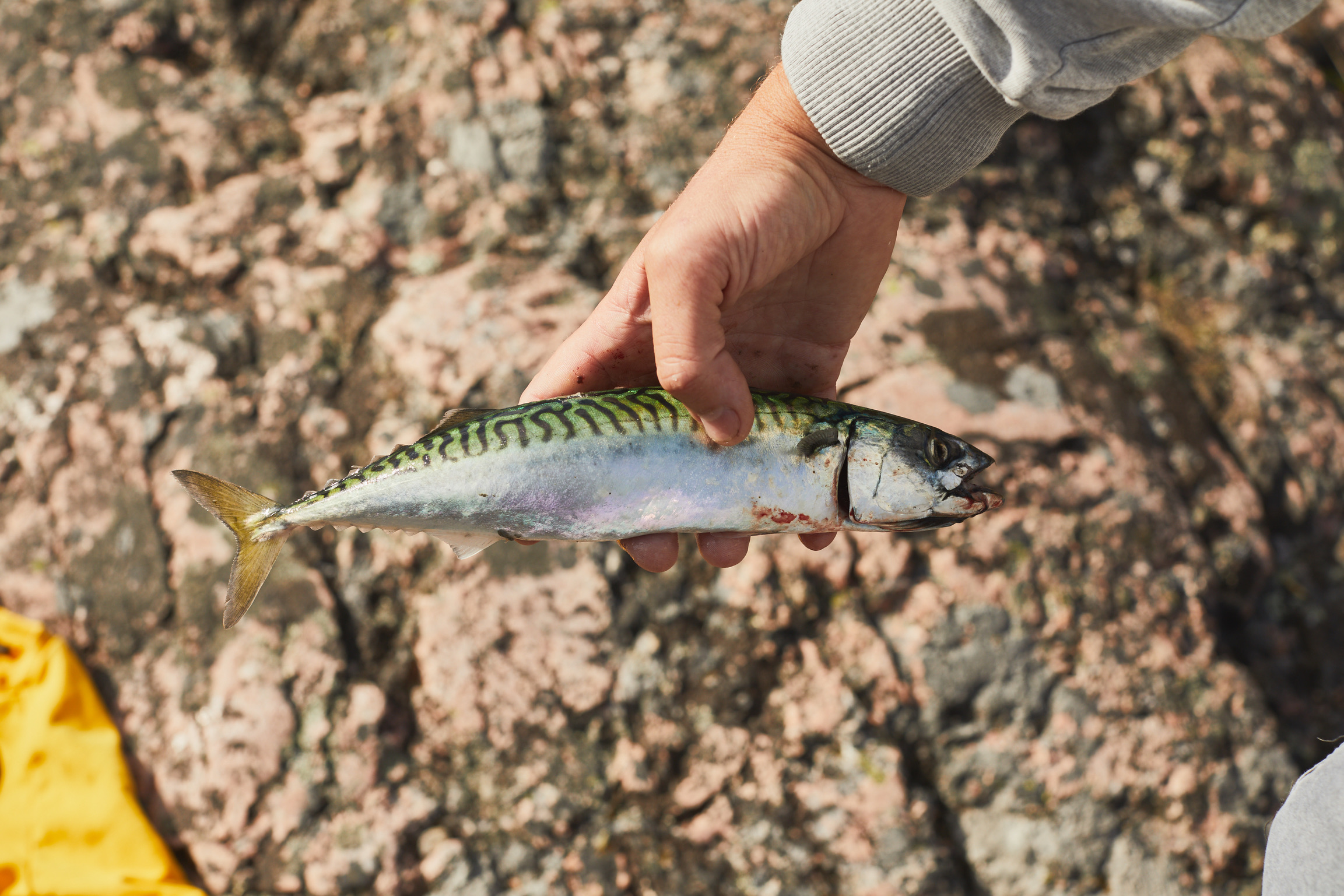 F569EC50-FD6B-41B9-958F-79B4E8F6BC3A