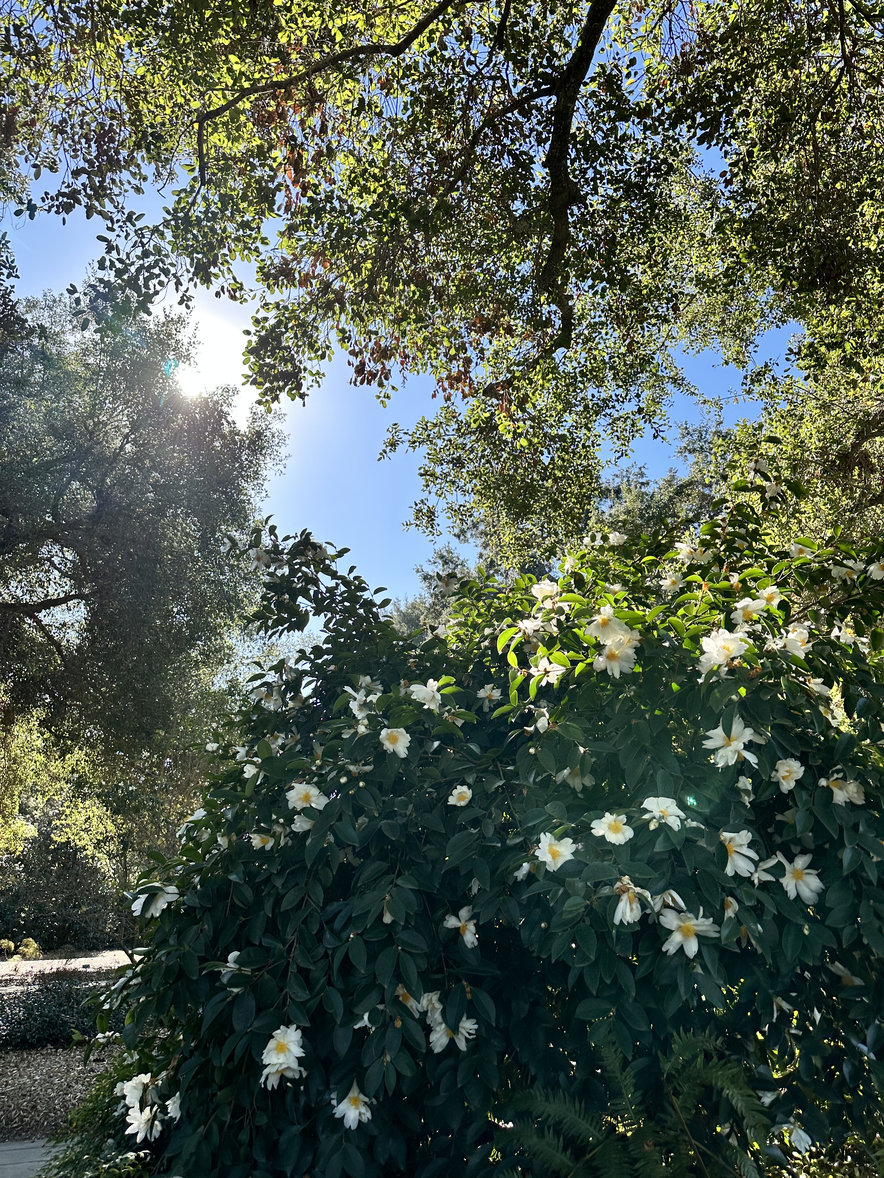 6D4B76F3-A3F0-4508-AA6F-85E150BB33D8