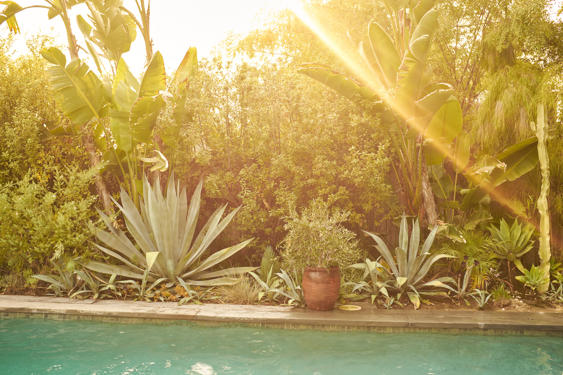 A76DCF03-1821-4EBD-B70E-8A8DF01BF55A