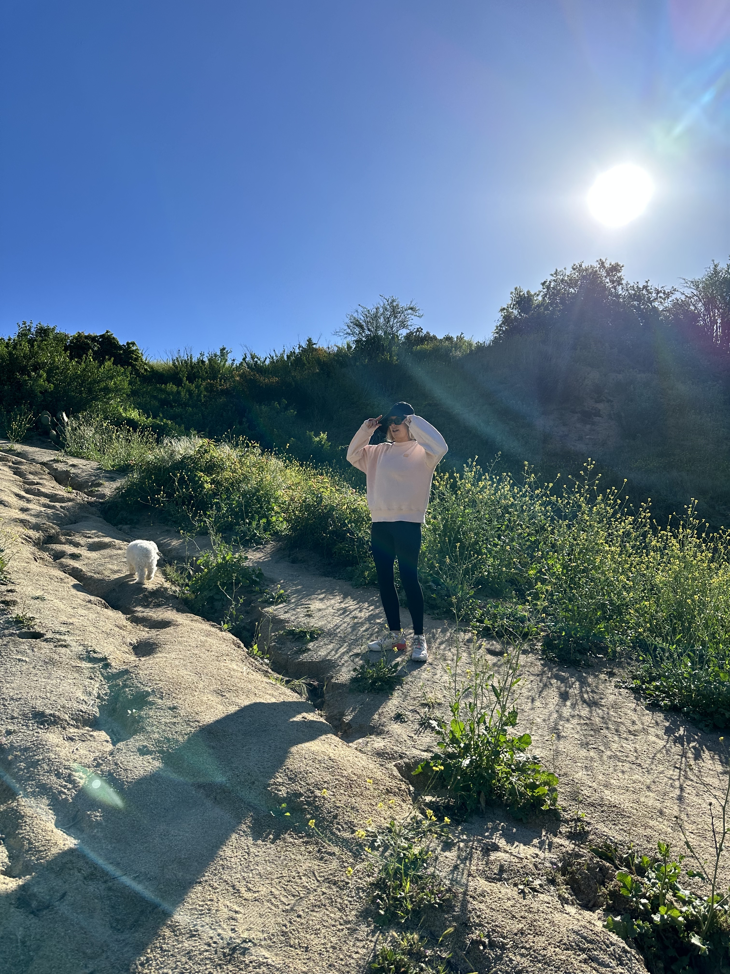 6E5BB441-E3BE-44B7-9E15-83E1639AFA99