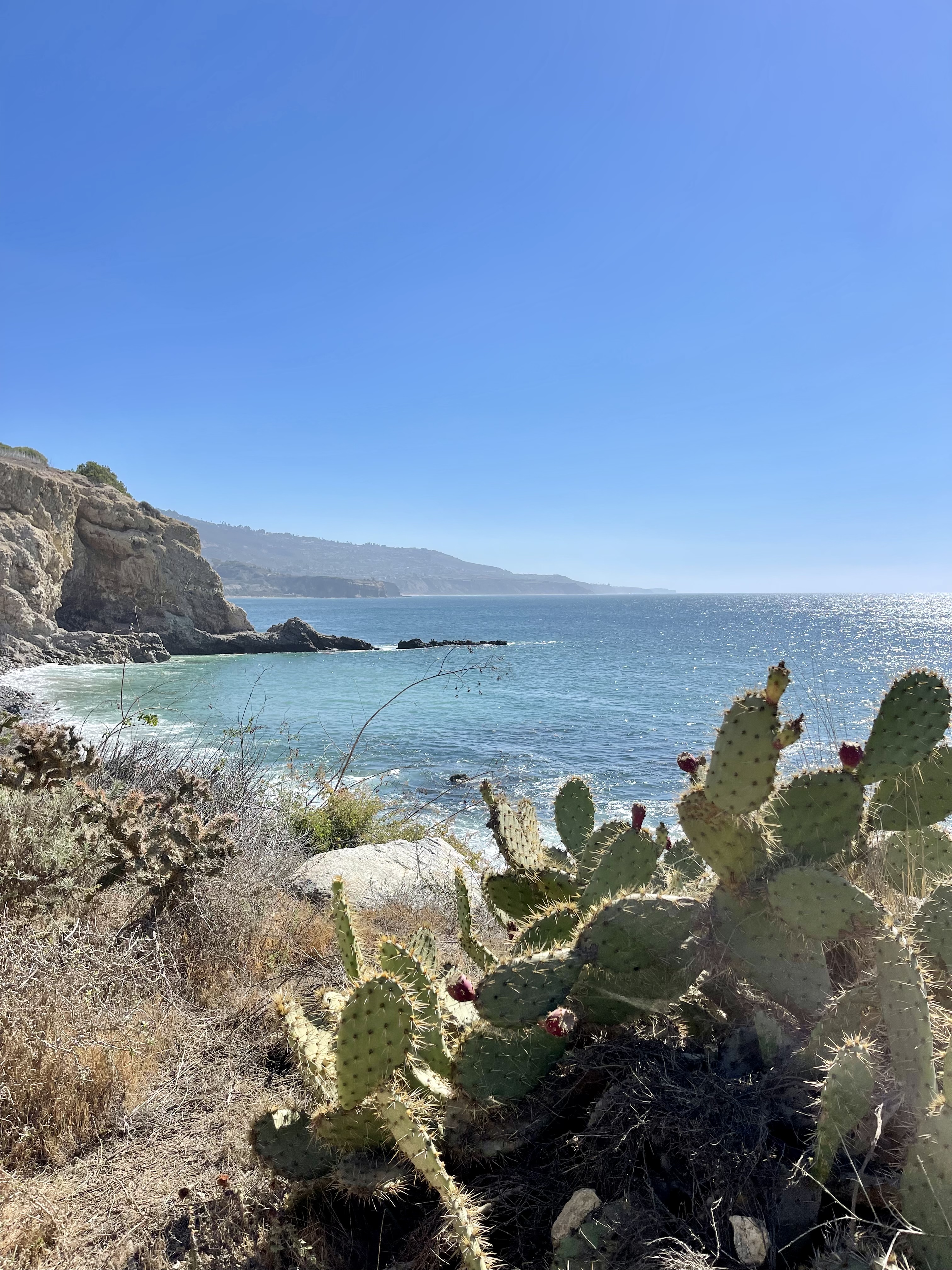 872D7EA3-E76E-439E-94D6-6E598BDC7C37