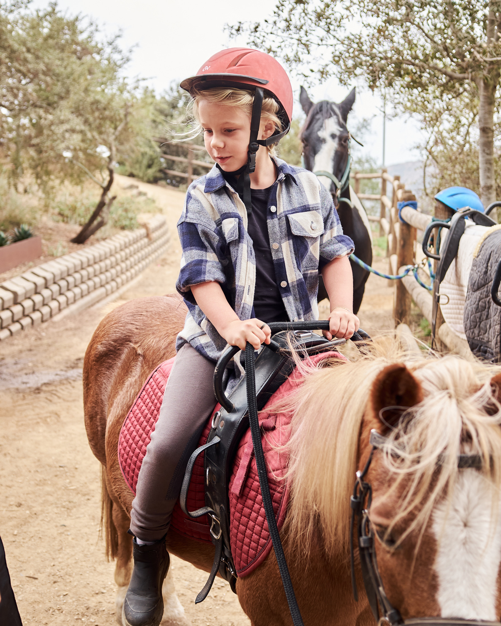 2B284F88-F597-4A91-93B9-32EF284661BB