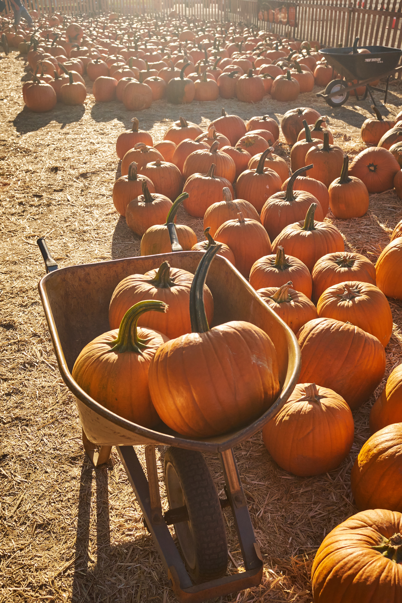 B05069BF-9A65-4443-BA6D-8E3AE32C62E3