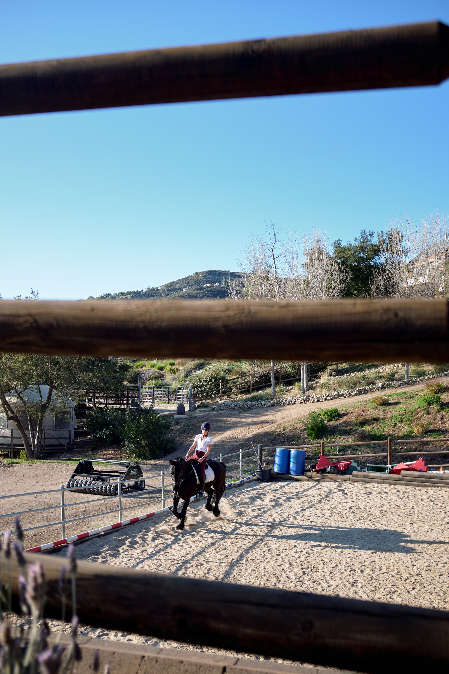 8C0C2631-B9CF-4BE2-B71E-DDB9230008C2