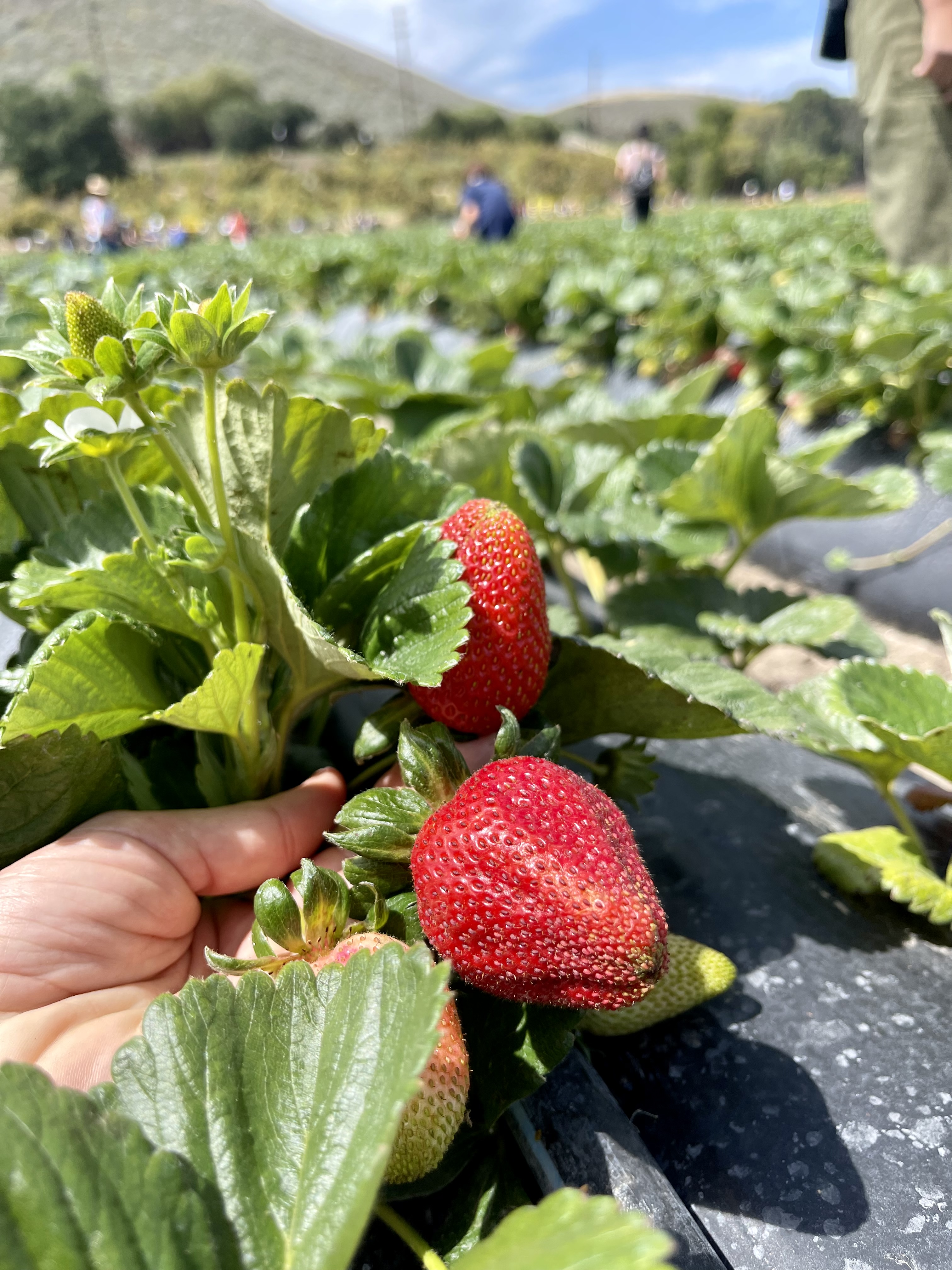 FBC3A66C-161E-403A-B480-04D415525774