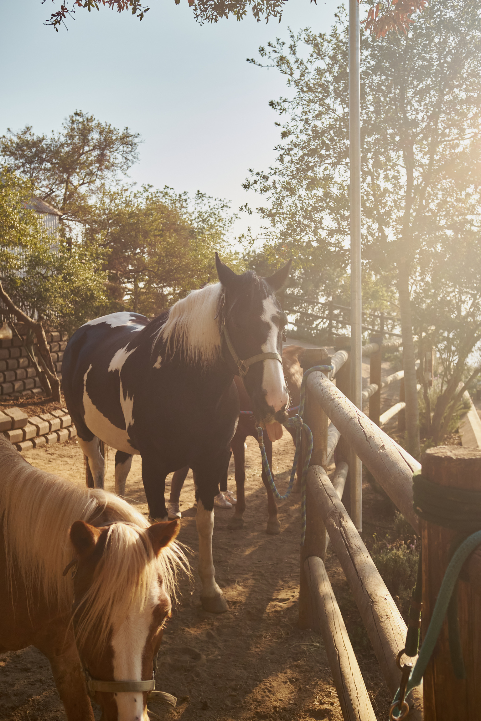 856727C6-A8A2-4E8E-8BEC-0A269E54987D